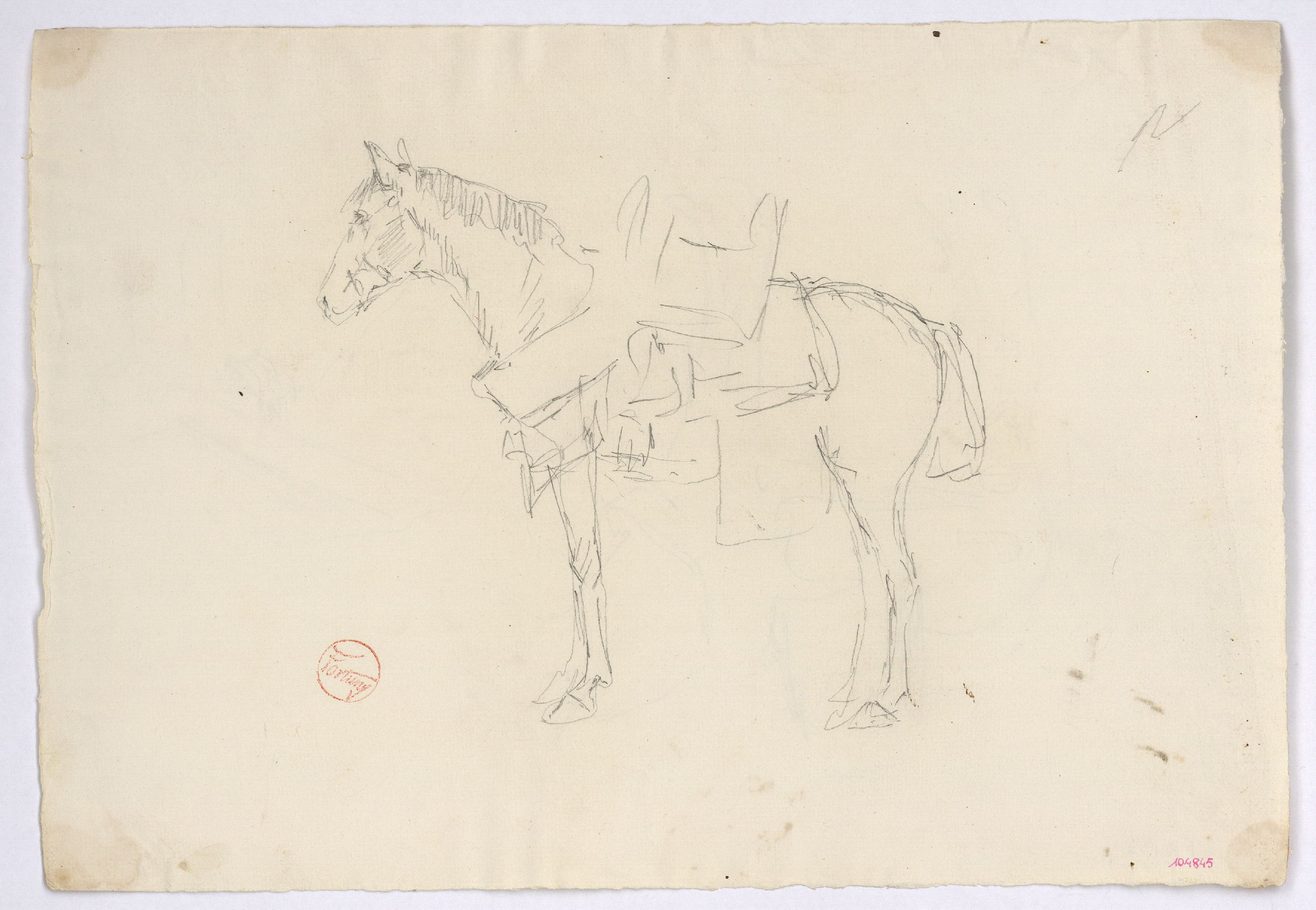 image for: Marià Fortuny - Estudi per al gravat «Cavall marroquí» (anvers) / Estudi per al gravat «Cavall marroquí» (revers) - Cap a 1860-1862