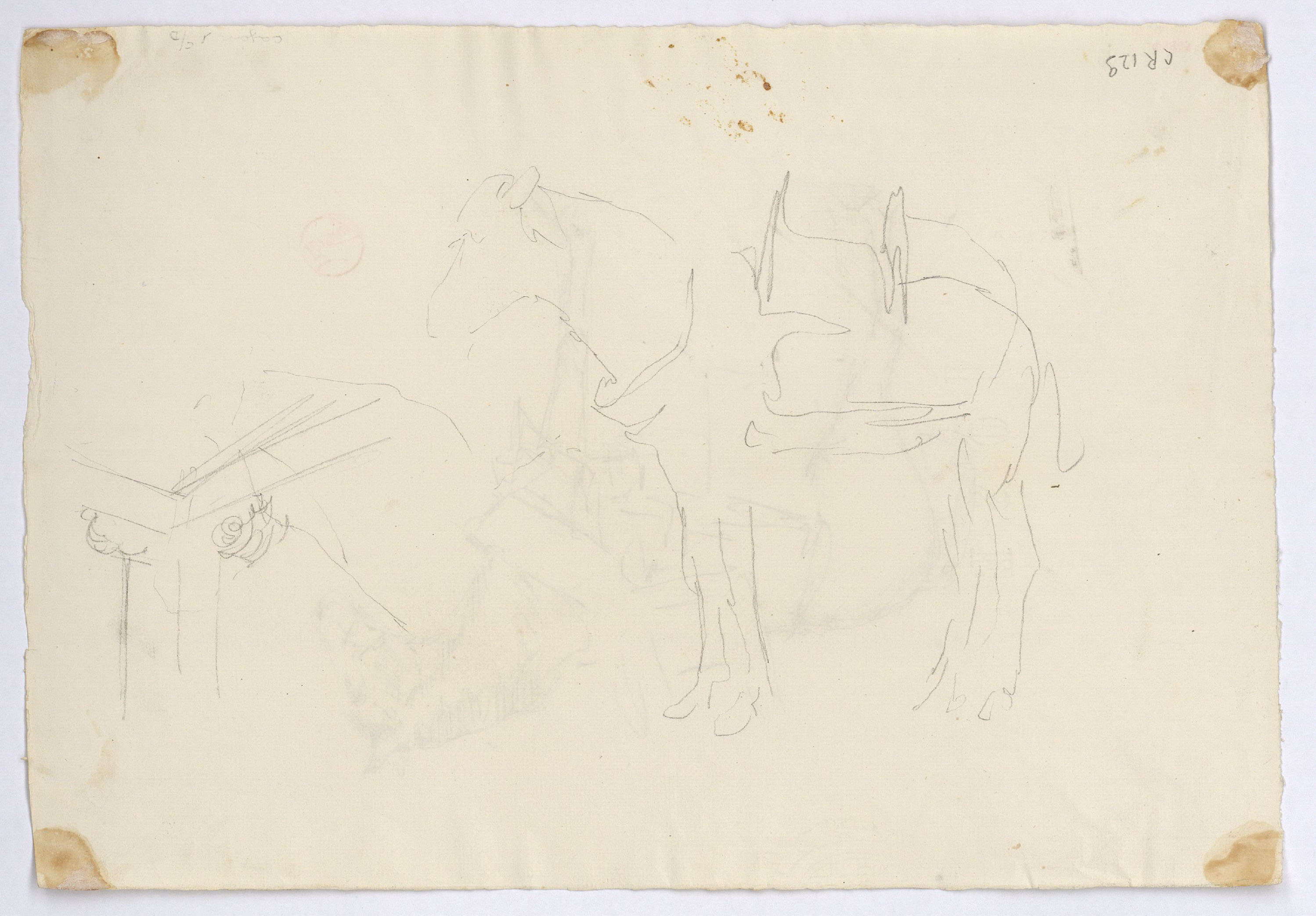 image for: Marià Fortuny - Estudi per al gravat «Cavall marroquí» (anvers) / Estudi per al gravat «Cavall marroquí» (revers) - Cap a 1860-1862 [1]