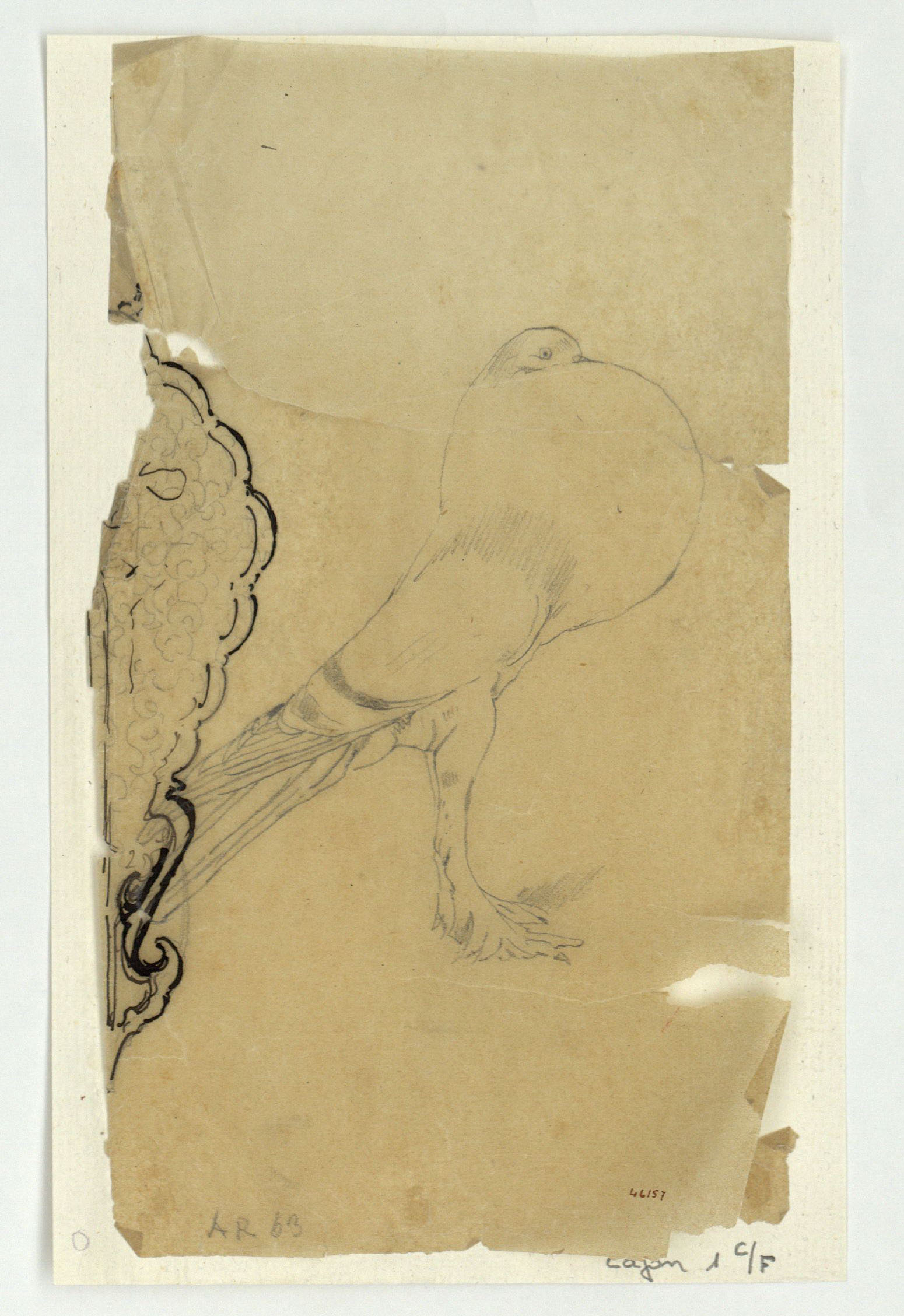 image for: Marià Fortuny - Calc d'un arabesc i de la figura d'un colom - Cap a 1863-1872