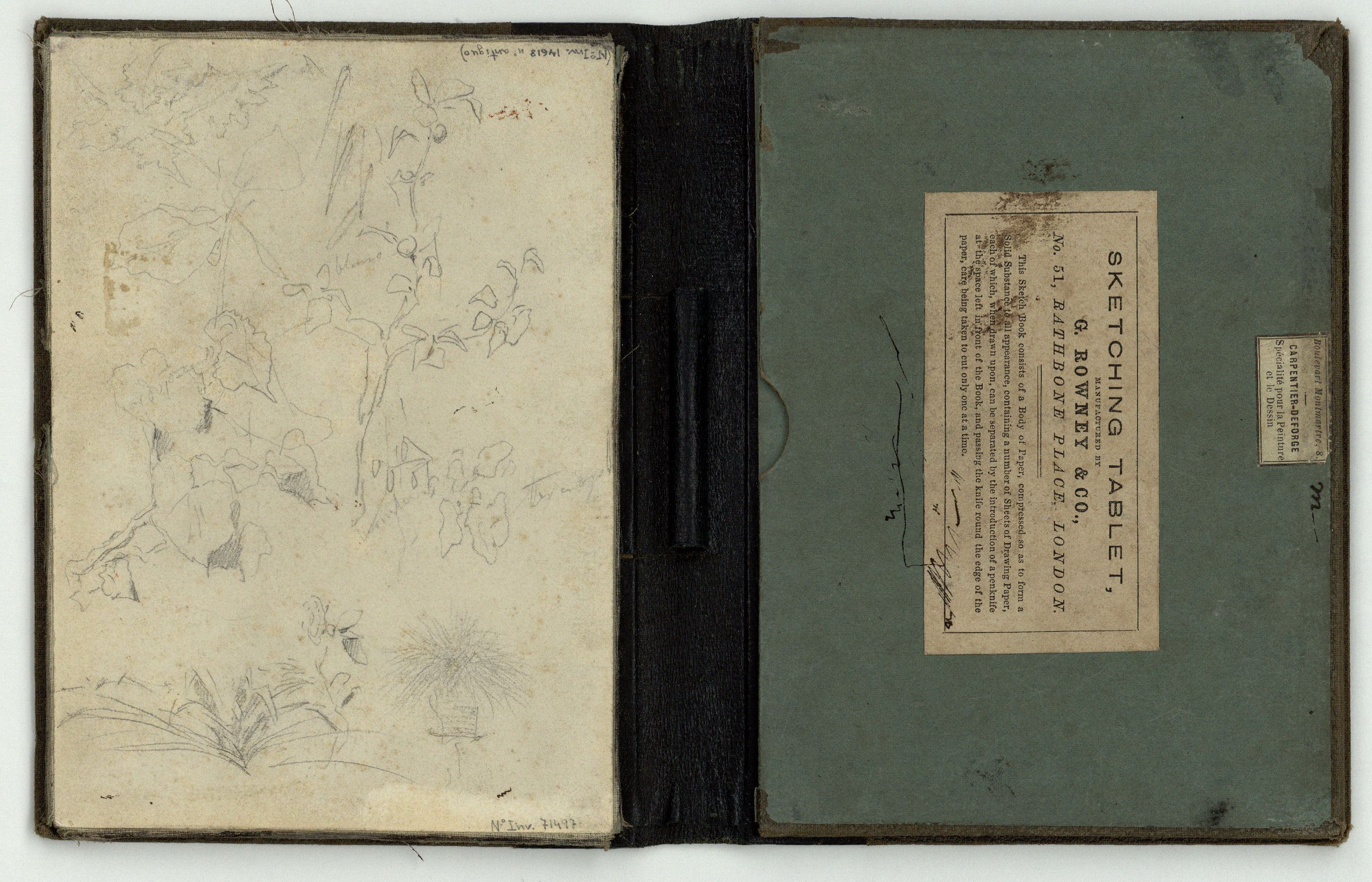 image for: Marià Fortuny - Esbós de plantes - Cap a 1866-1874