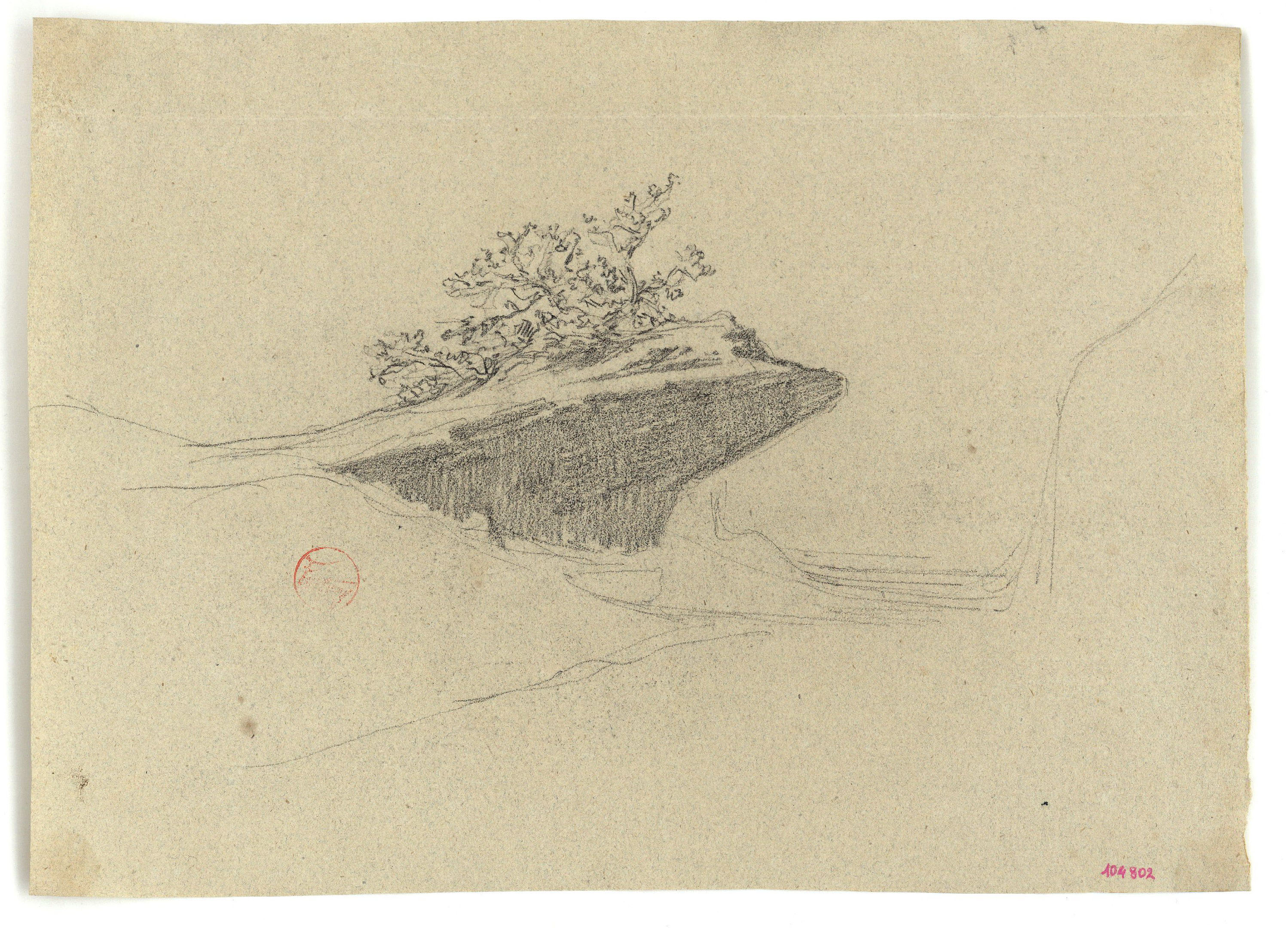 image for: Marià Fortuny - Roca amb matolls - Cap a 1860-1862