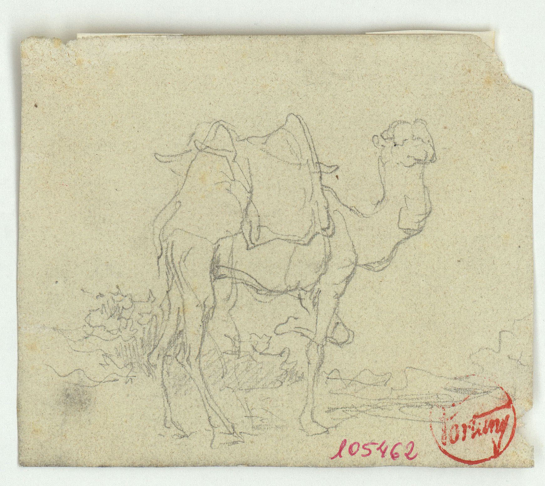 image for: Marià Fortuny - Camell - Cap a 1860-1862