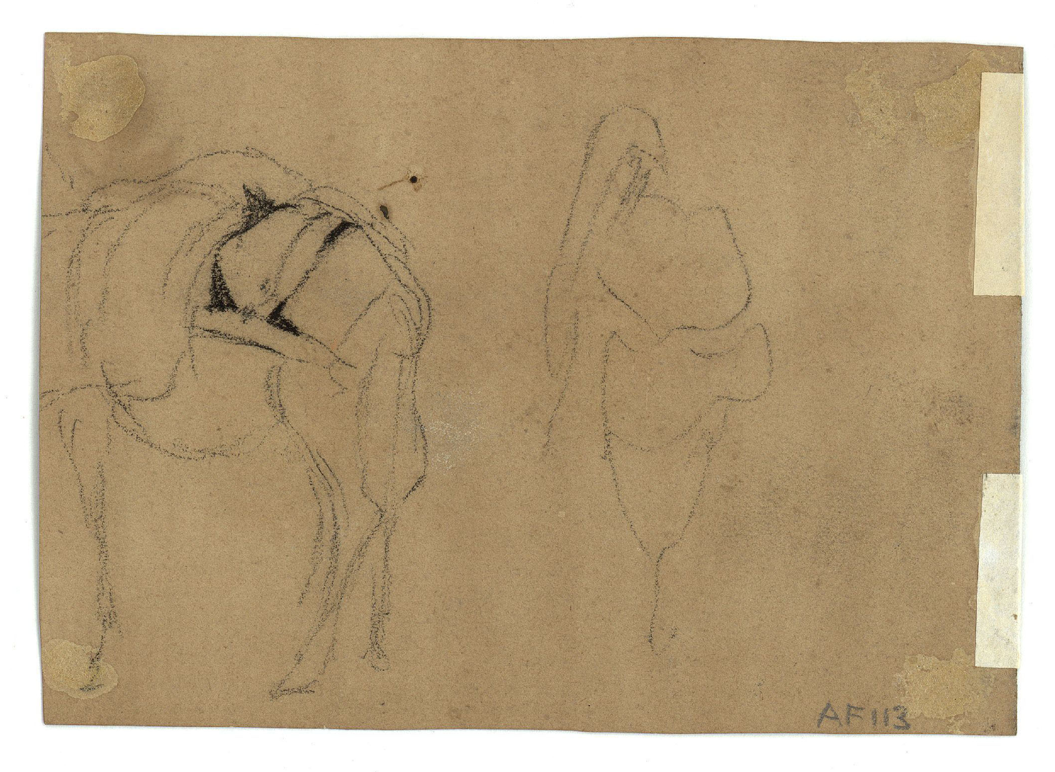 image for: Marià Fortuny - Ruc (anvers) / Esbós de rucs (revers) - Cap a 1860-1862 [1]