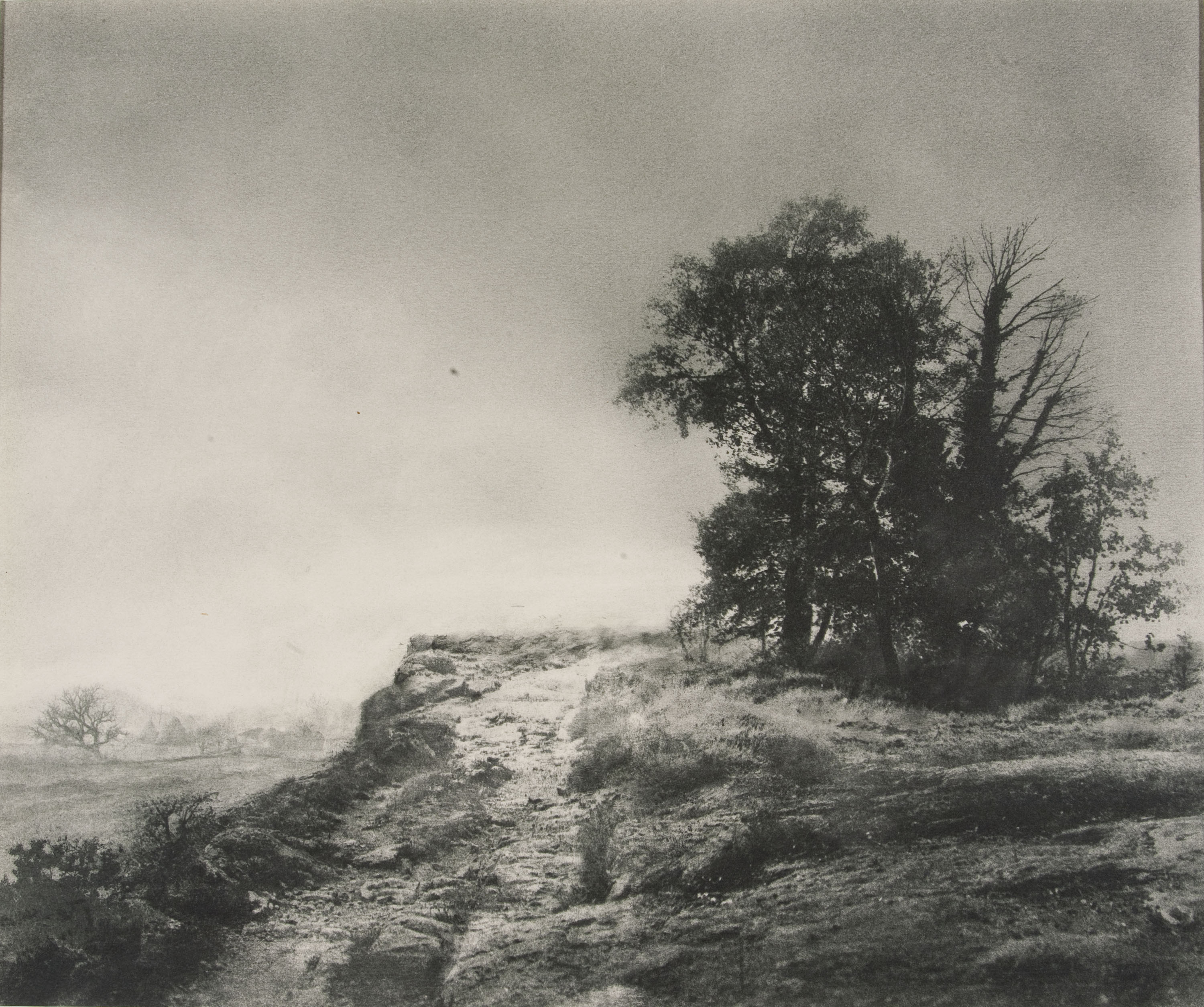 image for: Josep Maria Casals i Ariet - Paisatge - No datat
