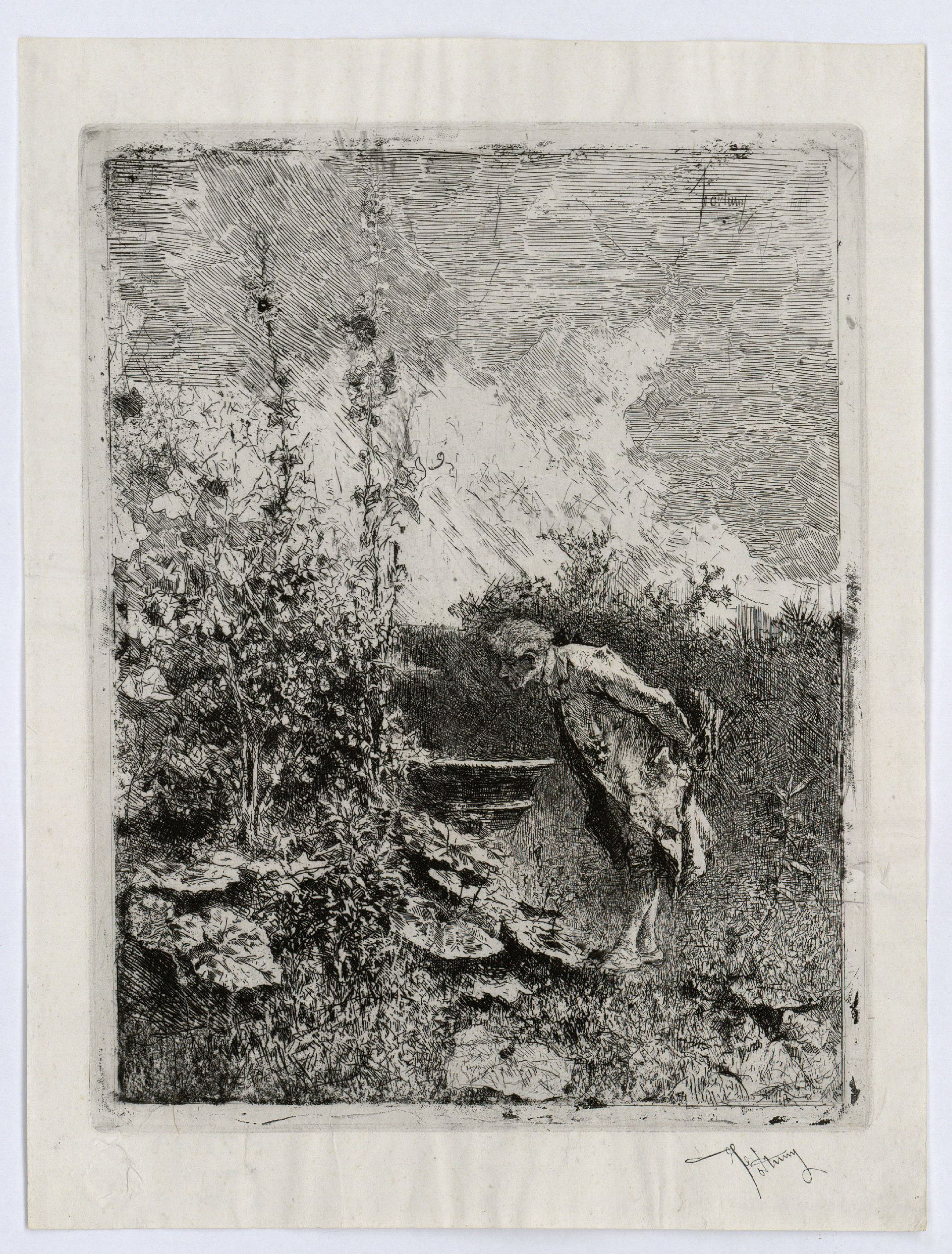 image for: Marià Fortuny - El botànic - Cap a 1868-1869