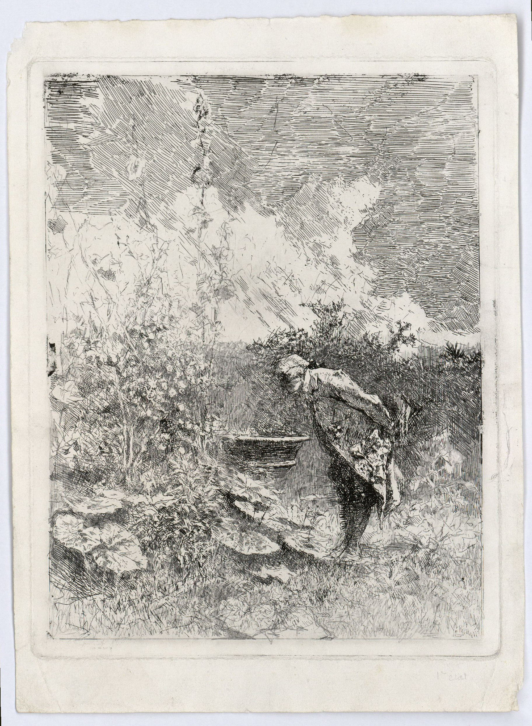 image for: Marià Fortuny - El botànic - Cap a 1868-1869