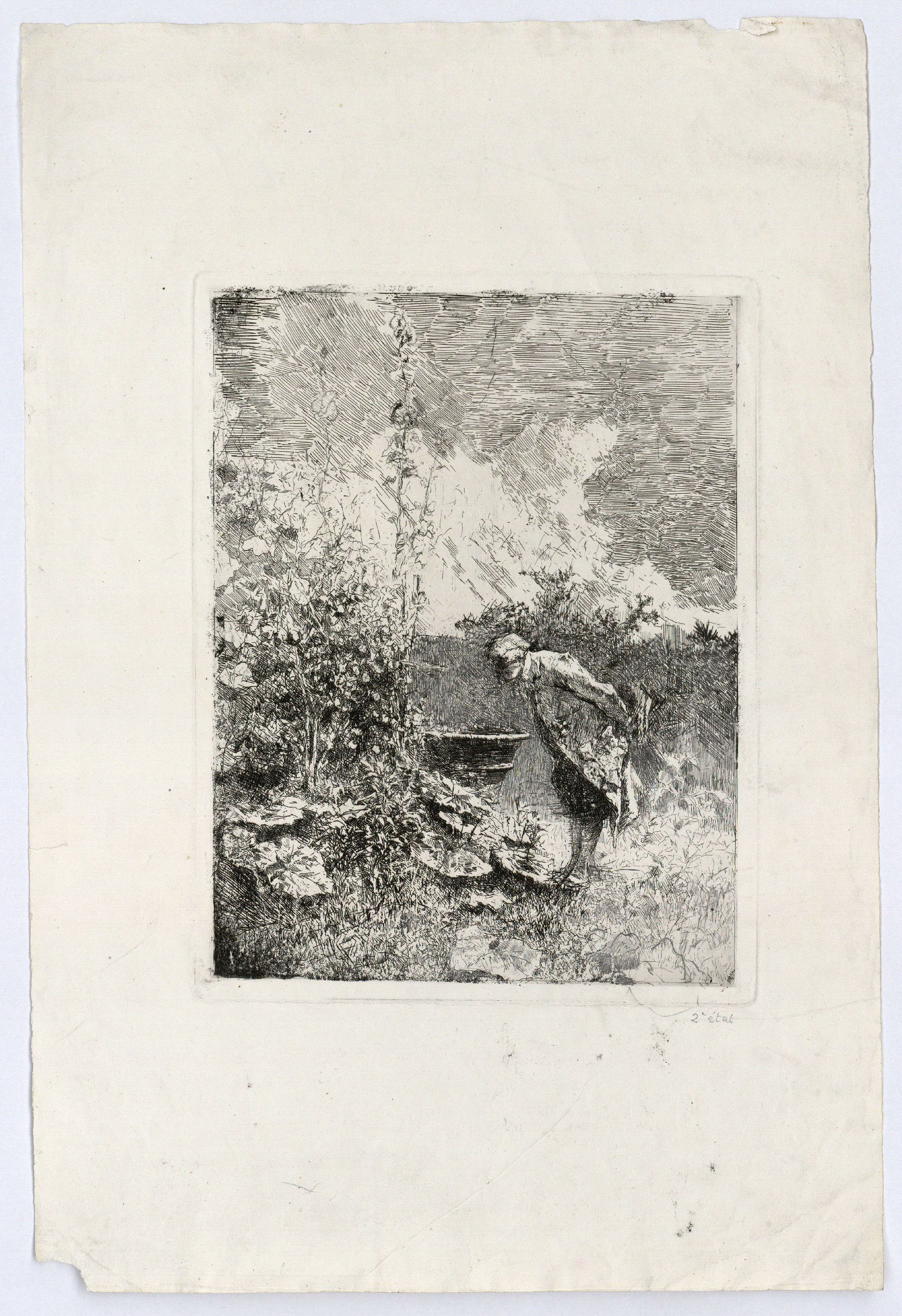 image for: Marià Fortuny - El botànic - Cap a 1868-1869