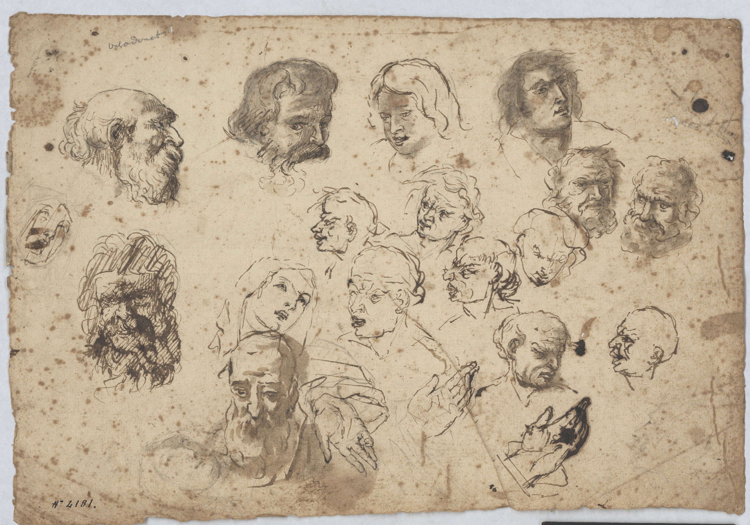 image for: Anònim - Estudi de caps - Cap a 1730-1755