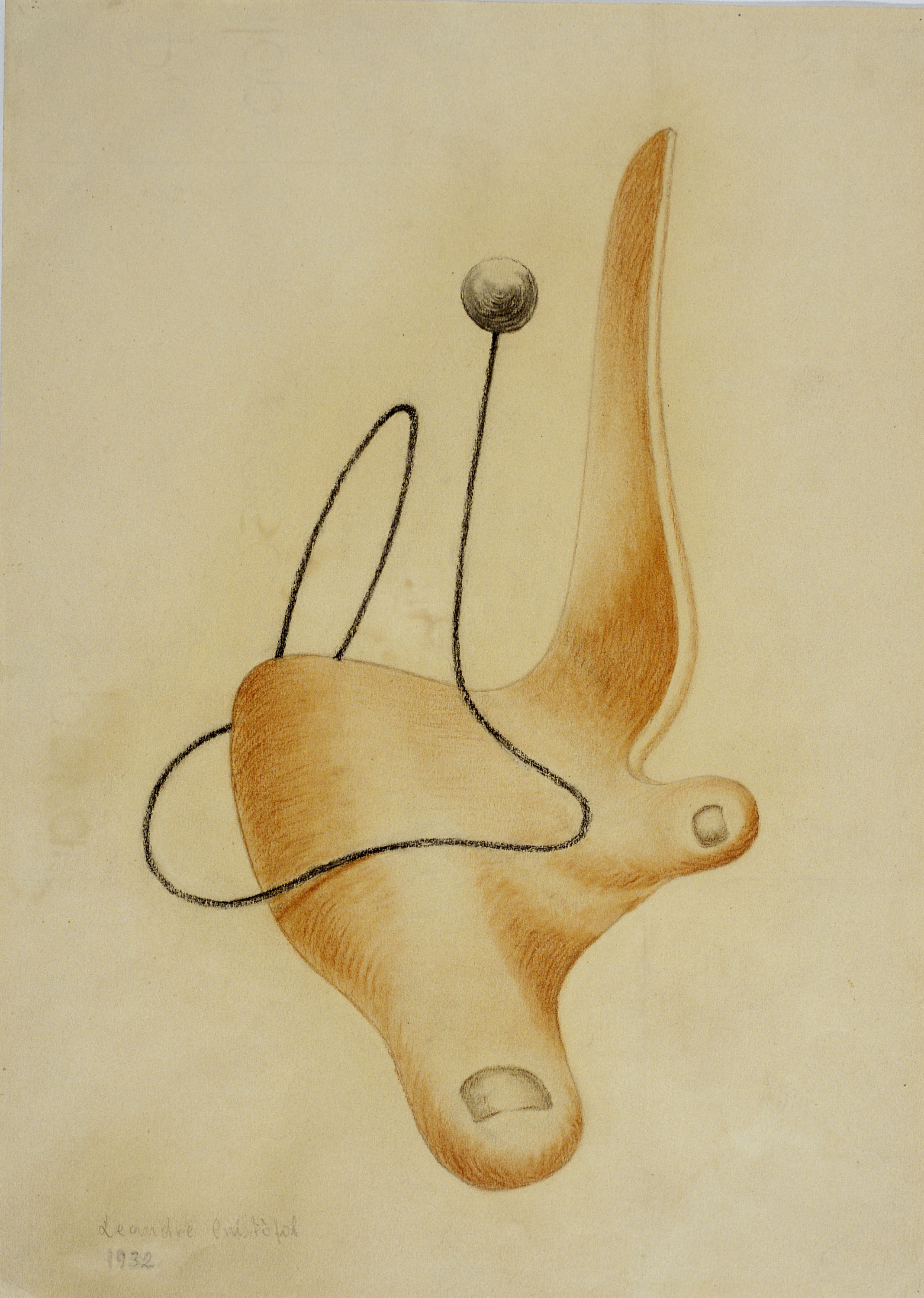 image for: Leandre Cristòfol - Morfologia 1 - 1932