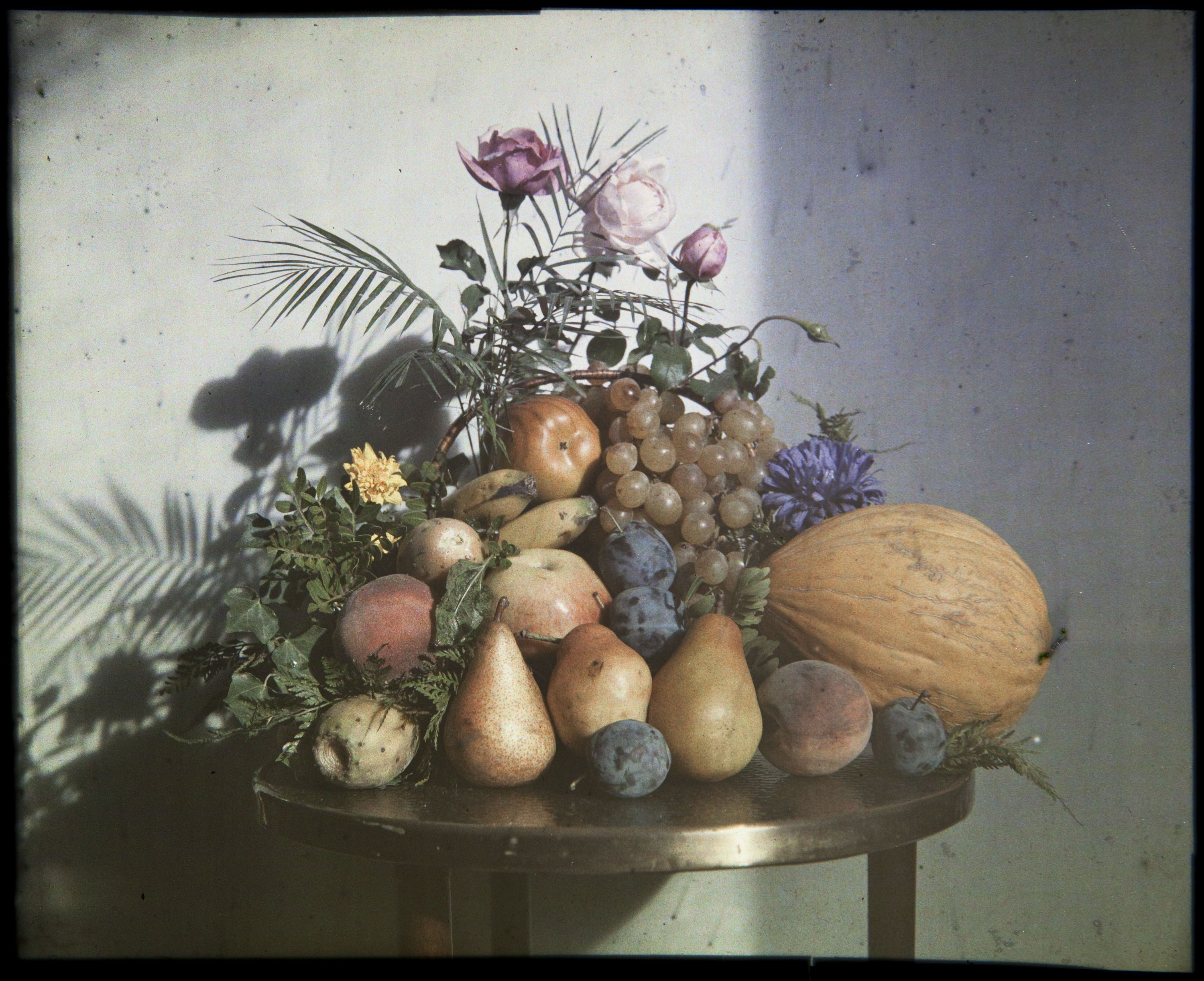 image for: Francesc Carrera Bou - Natura morta amb fruita i flors - Cap a 1922-1926
