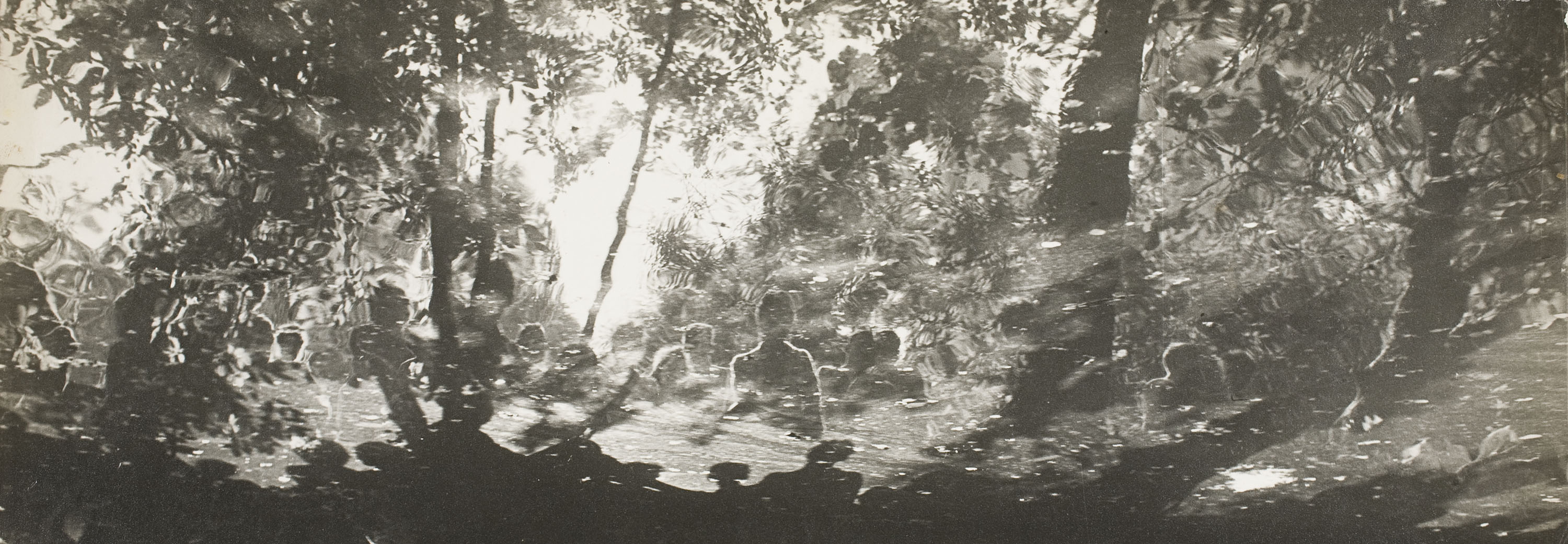 image for: Florenci Vilaseca - Reunió al bosc - No datat