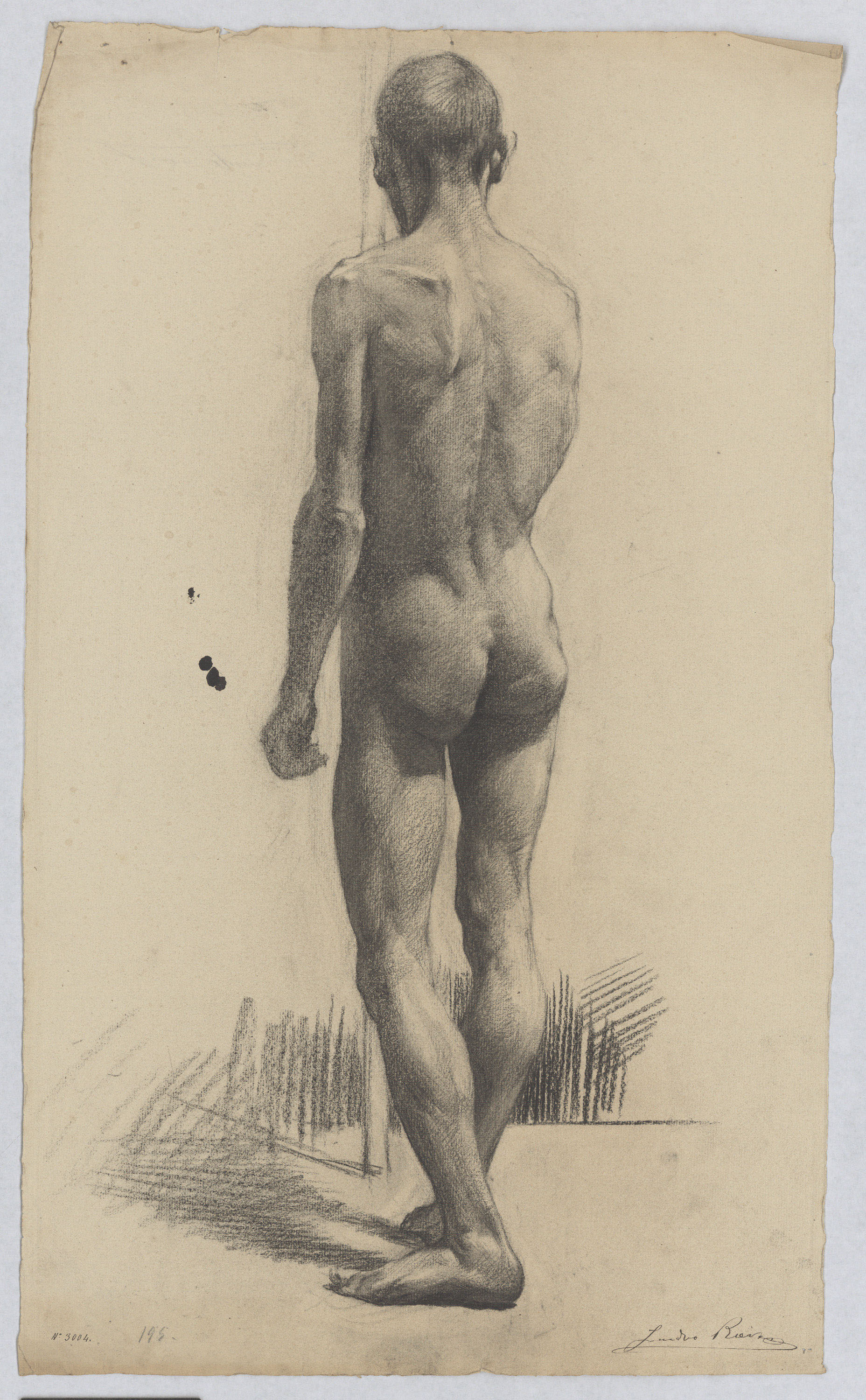 image for: Isidre Riera - Nu masculí - Cap a 1895-1900
