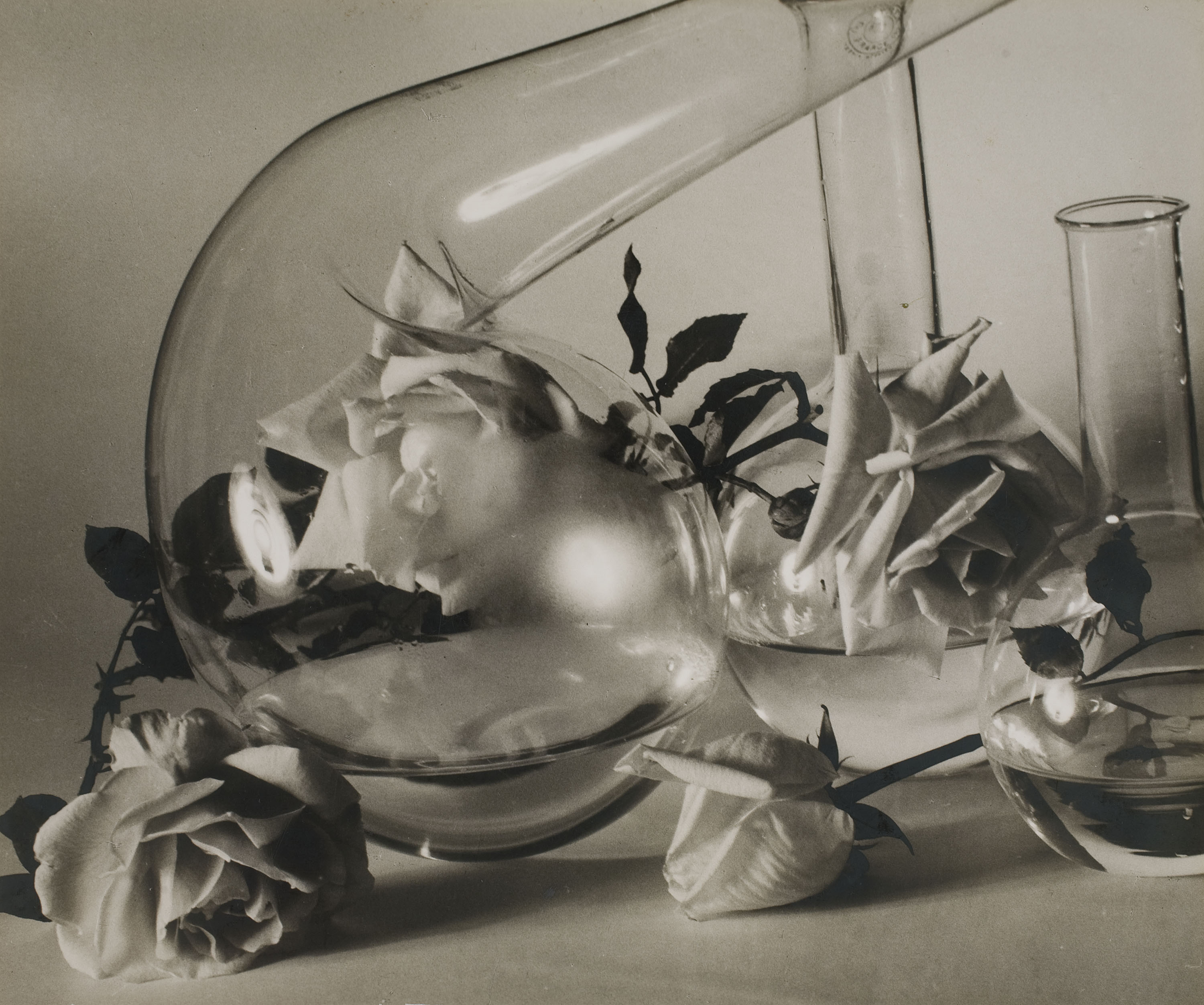 image for: Ramon Batlles - Fotografia publicitària per a Myrurgia - Cap a 1930