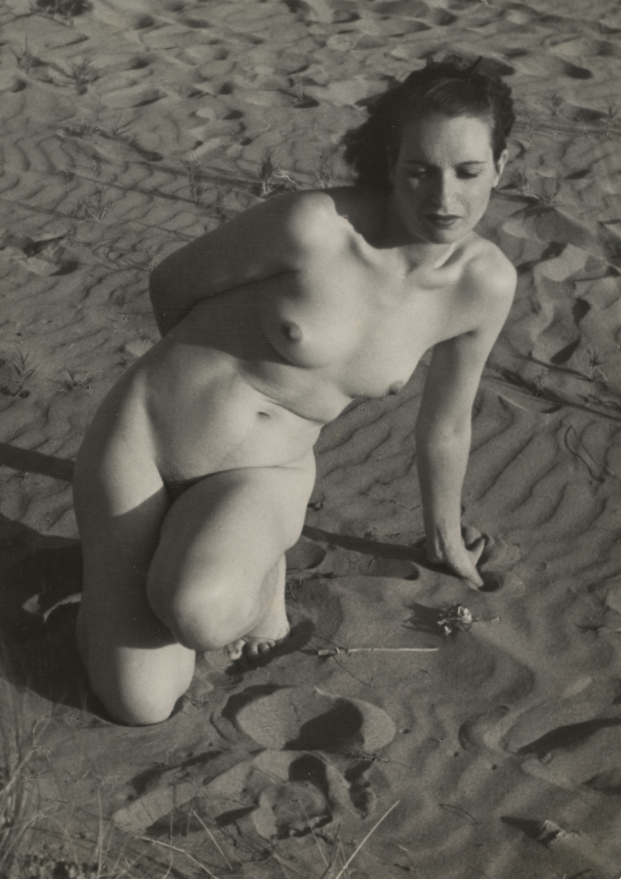 image for: Otho Lloyd - Sense títol - No datat