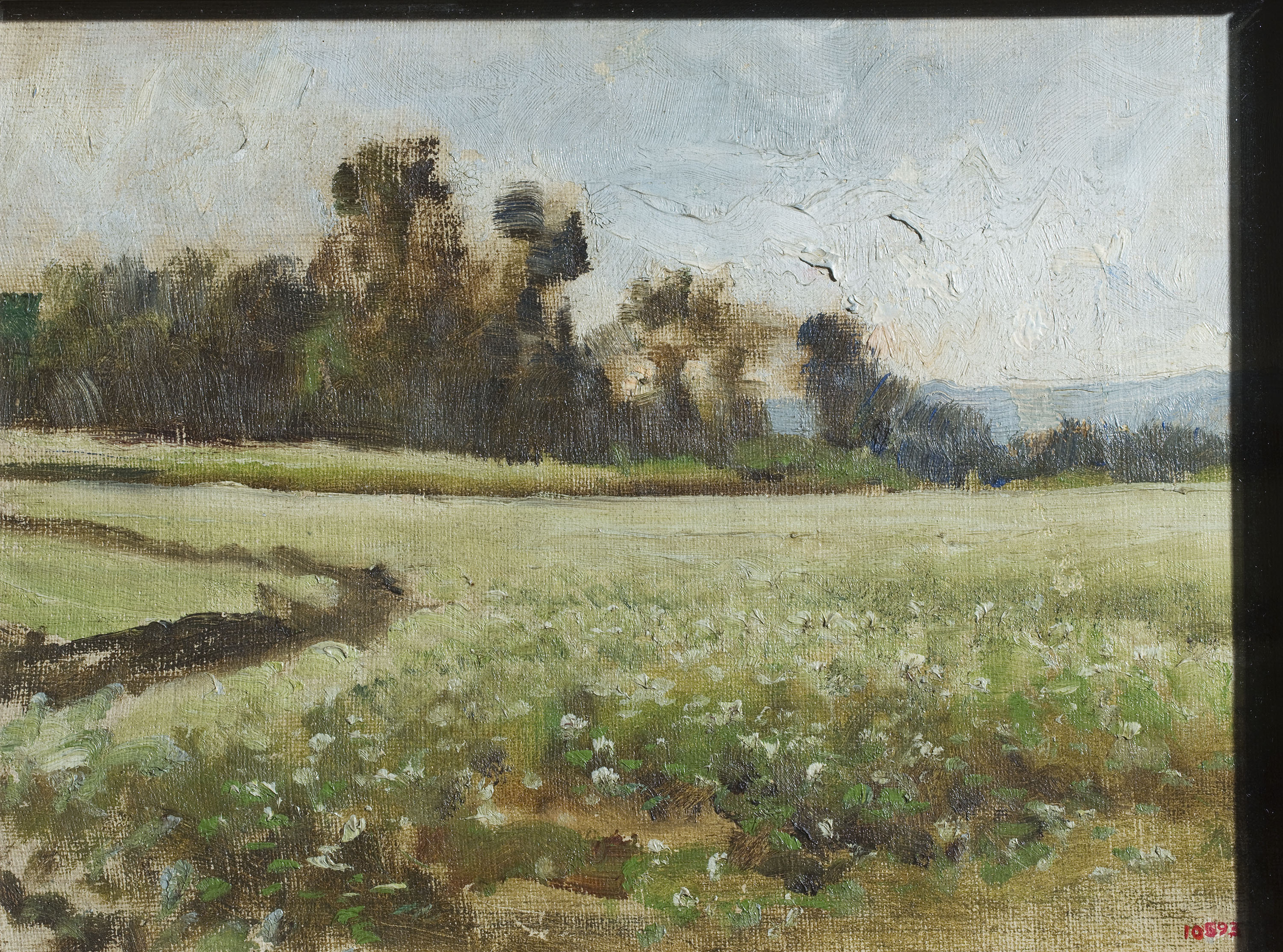 image for: Joaquim Vayreda - Camp de fajol (apunt) - Cap a 1888