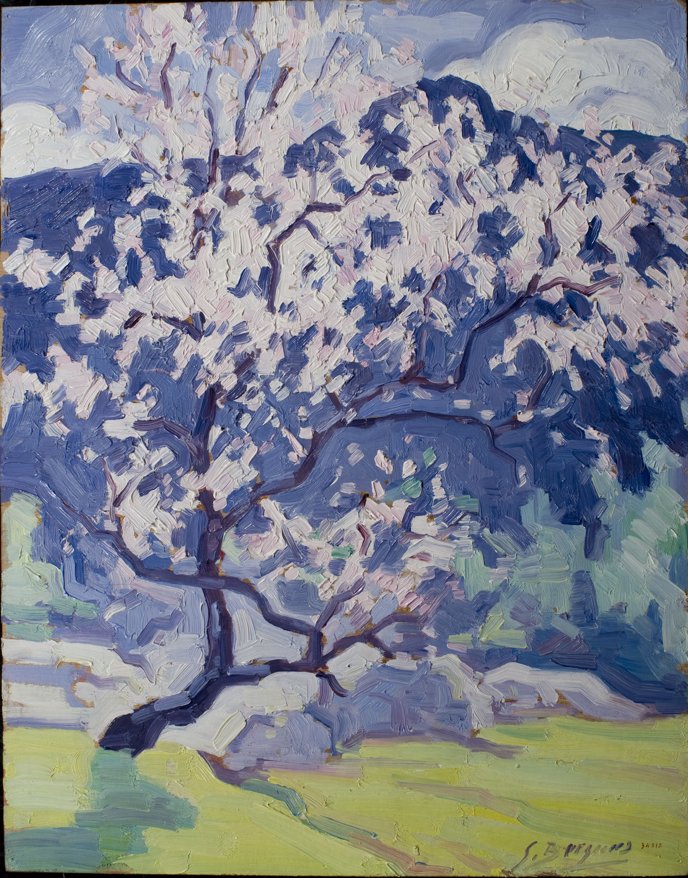 image for: Guillem Bergnes - Ametller florit - Anterior a 1945