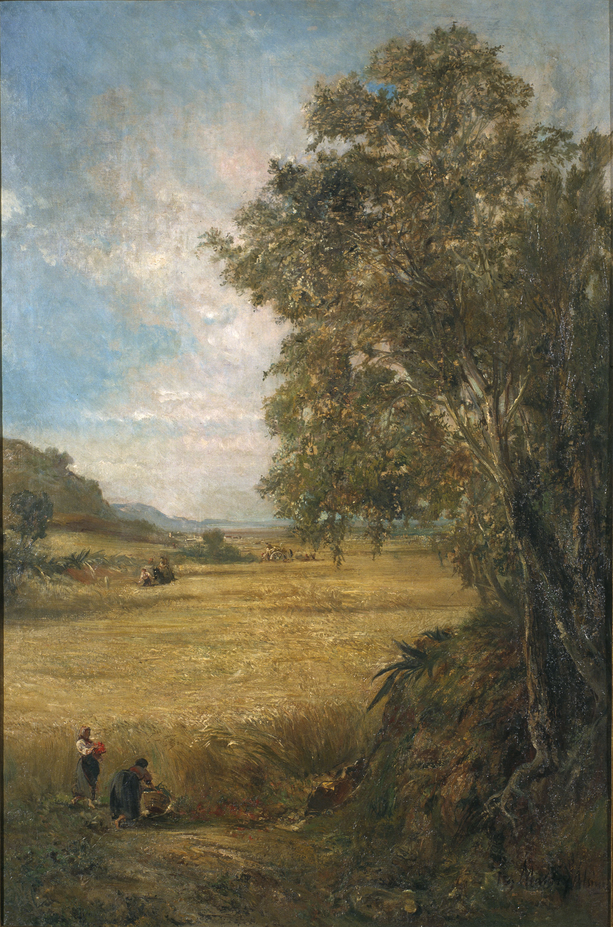 image for: Ramon Martí i Alsina - Camp de blat - Cap a 1875-1885