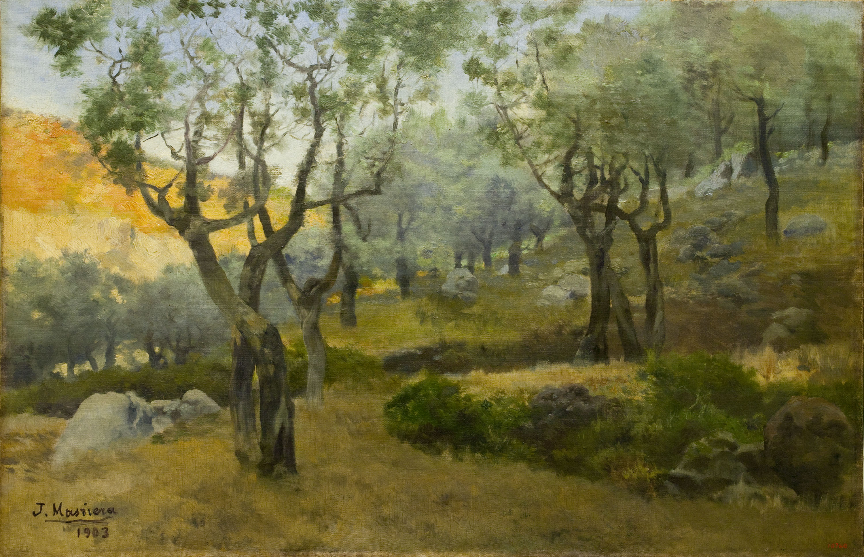 image for: Josep Masriera - Paisatge - 1903