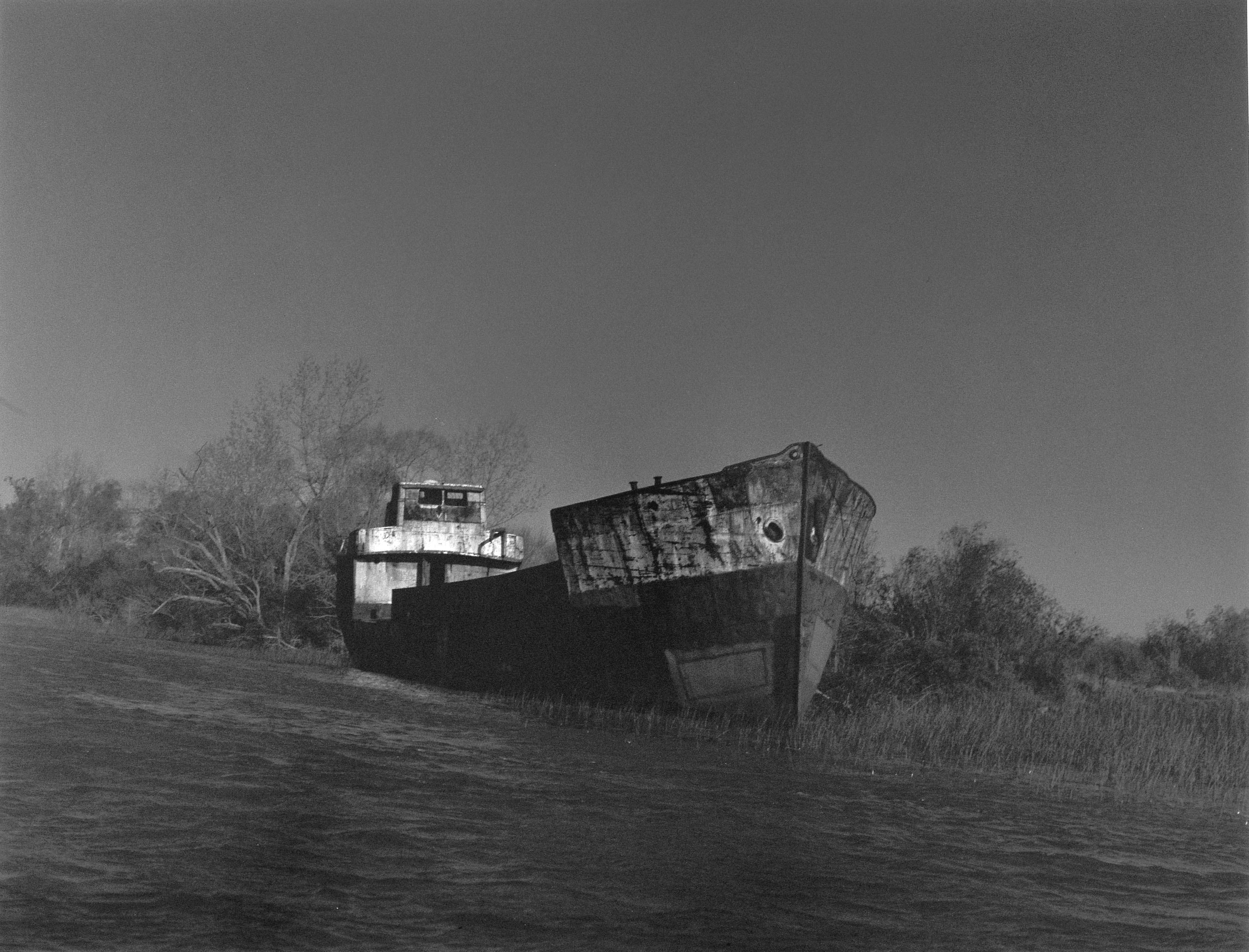 image for: Humberto Rivas - El Tigre - 1990