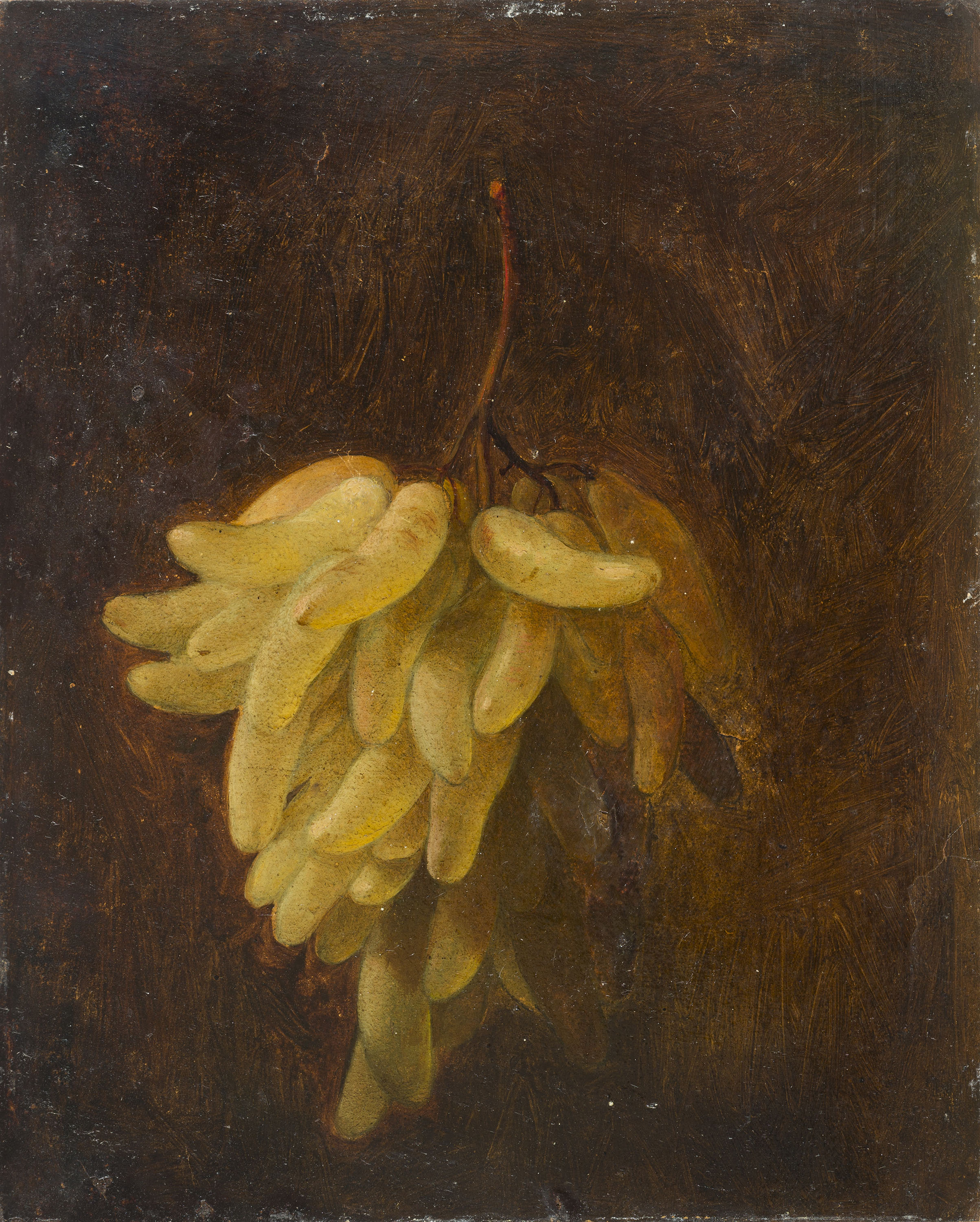 image for: Francesc Jubany - Natura morta - Cap a 1840-1852