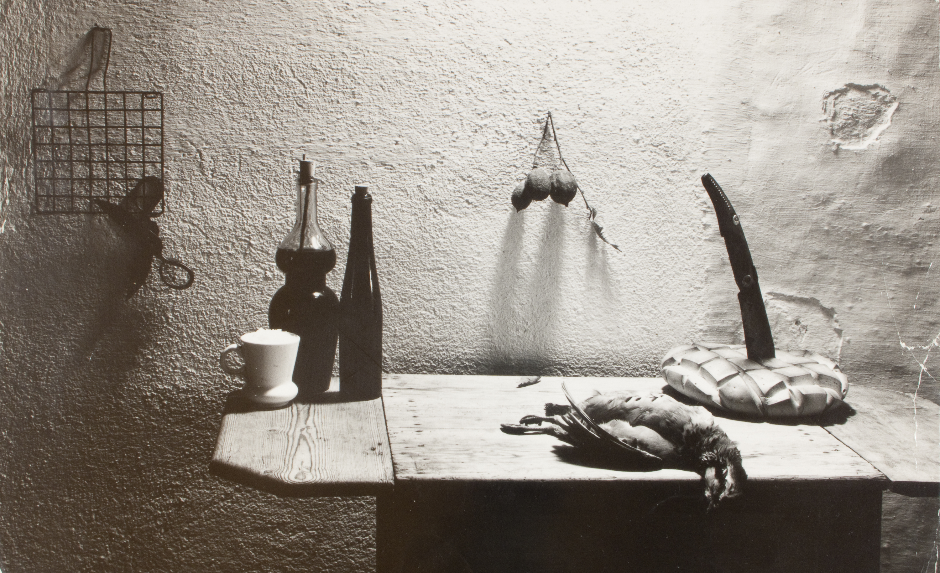 image for: Oriol Maspons - Fotografia per al llibre «La caza de la perdiz roja», de Miguel Delibes - 1962