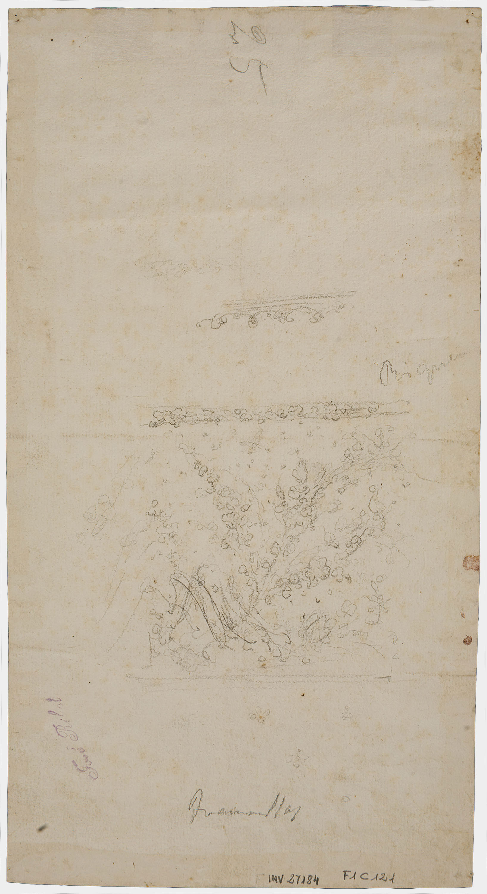 image for: Francesc Tramulles - D'Herodes a Pilat (anvers) / Decoració vegetal (revers) - Cap a 1760 [1]