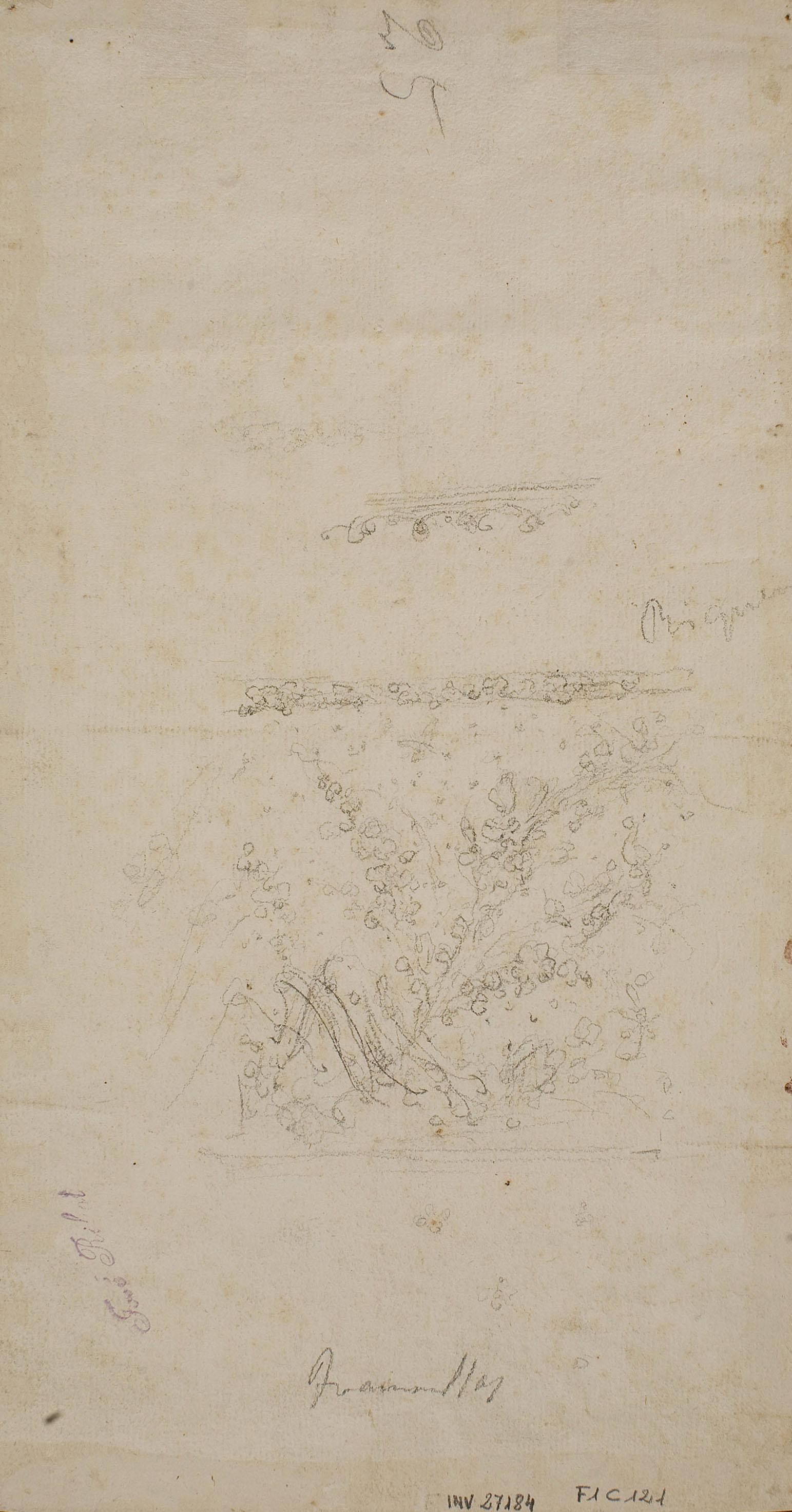 image for: Francesc Tramulles - D'Herodes a Pilat (anvers) / Decoració vegetal (revers) - Cap a 1760 [2]