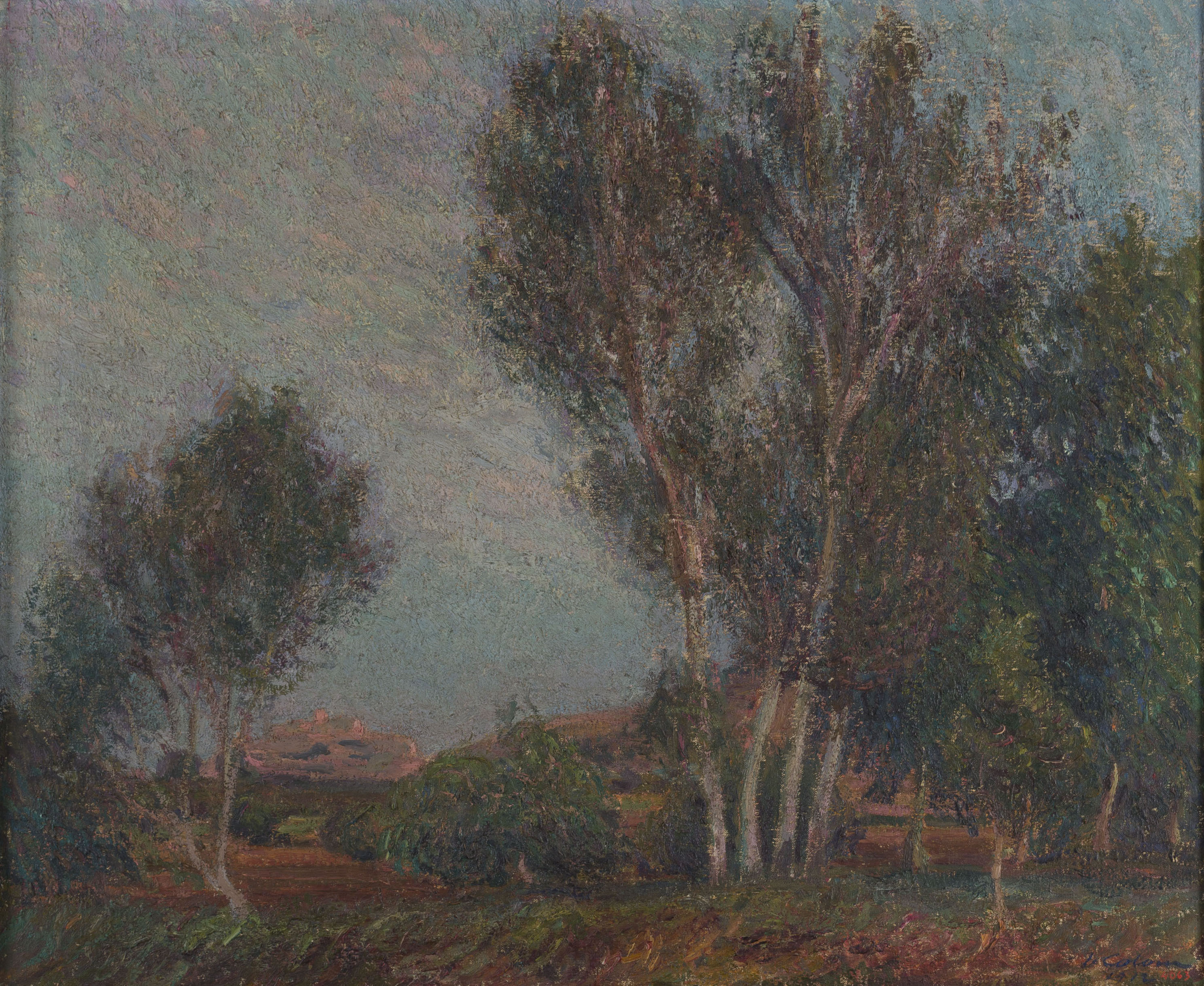 image for: Joan Colom Agustí - Grup d'arbres - 1912
