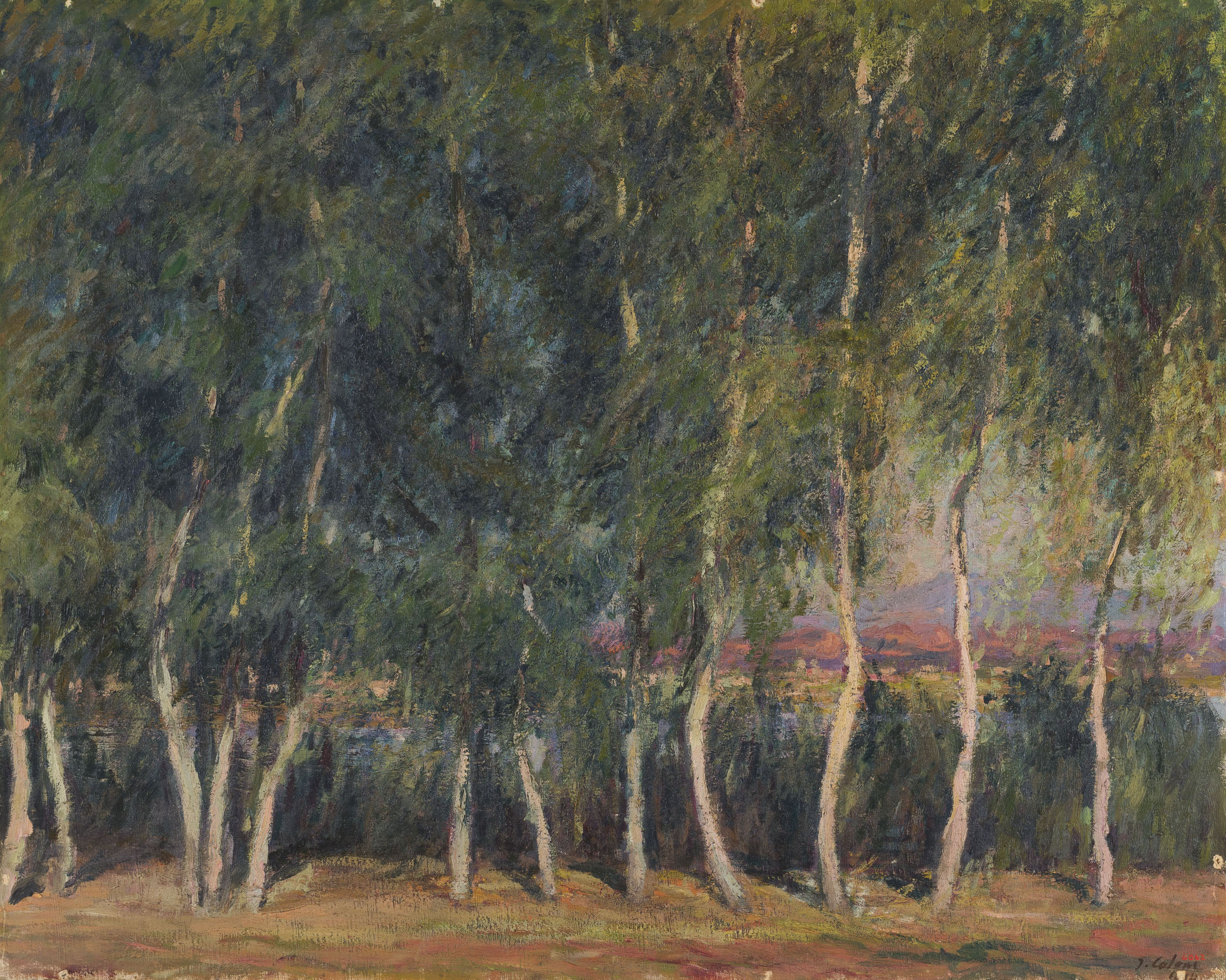 image for: Joan Colom Agustí - Paisatge - 1914