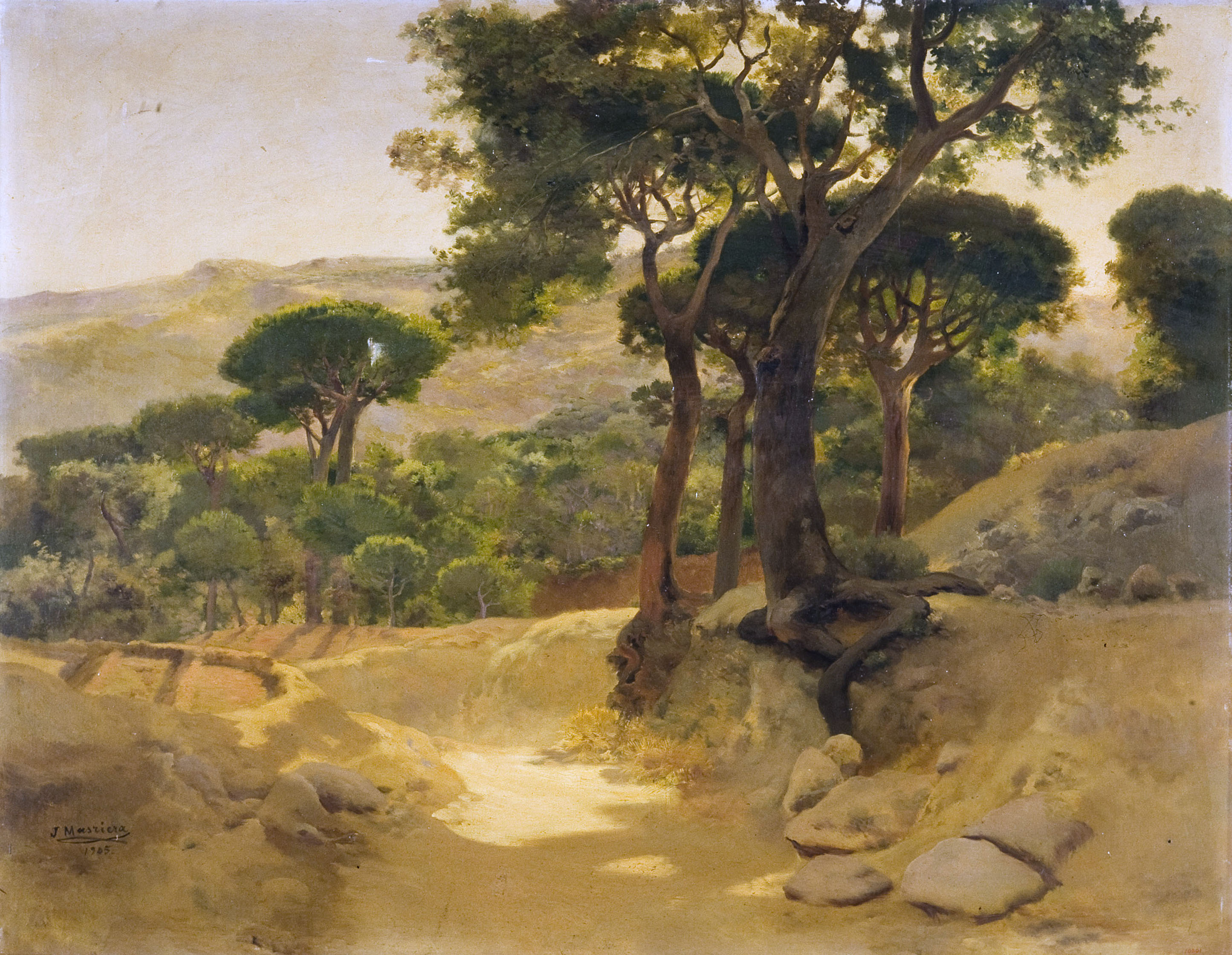 image for: Josep Masriera - Pinar de Llavaneres - 1905