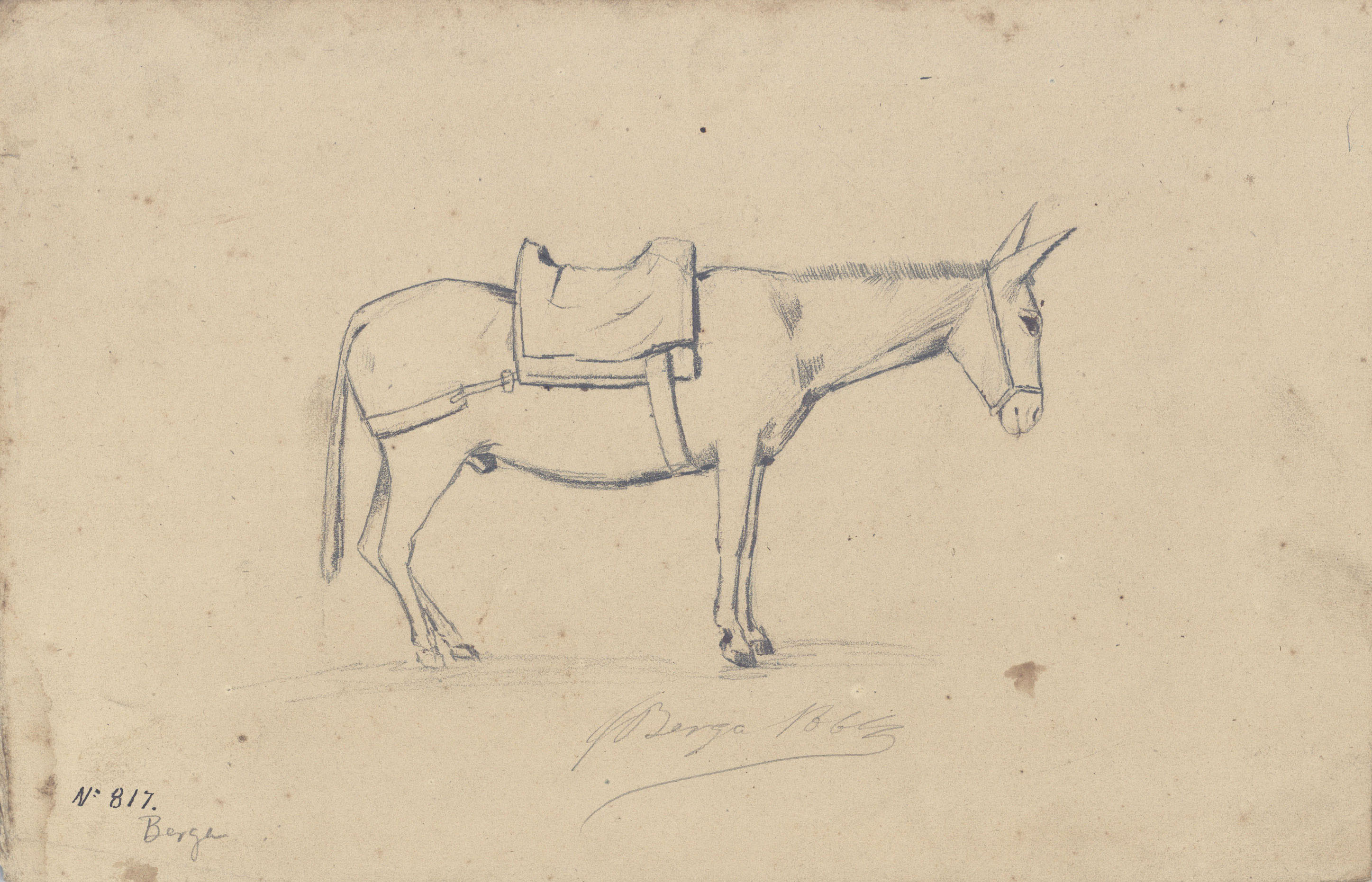 image for: Josep Berga Boix - Un pollí - 1864