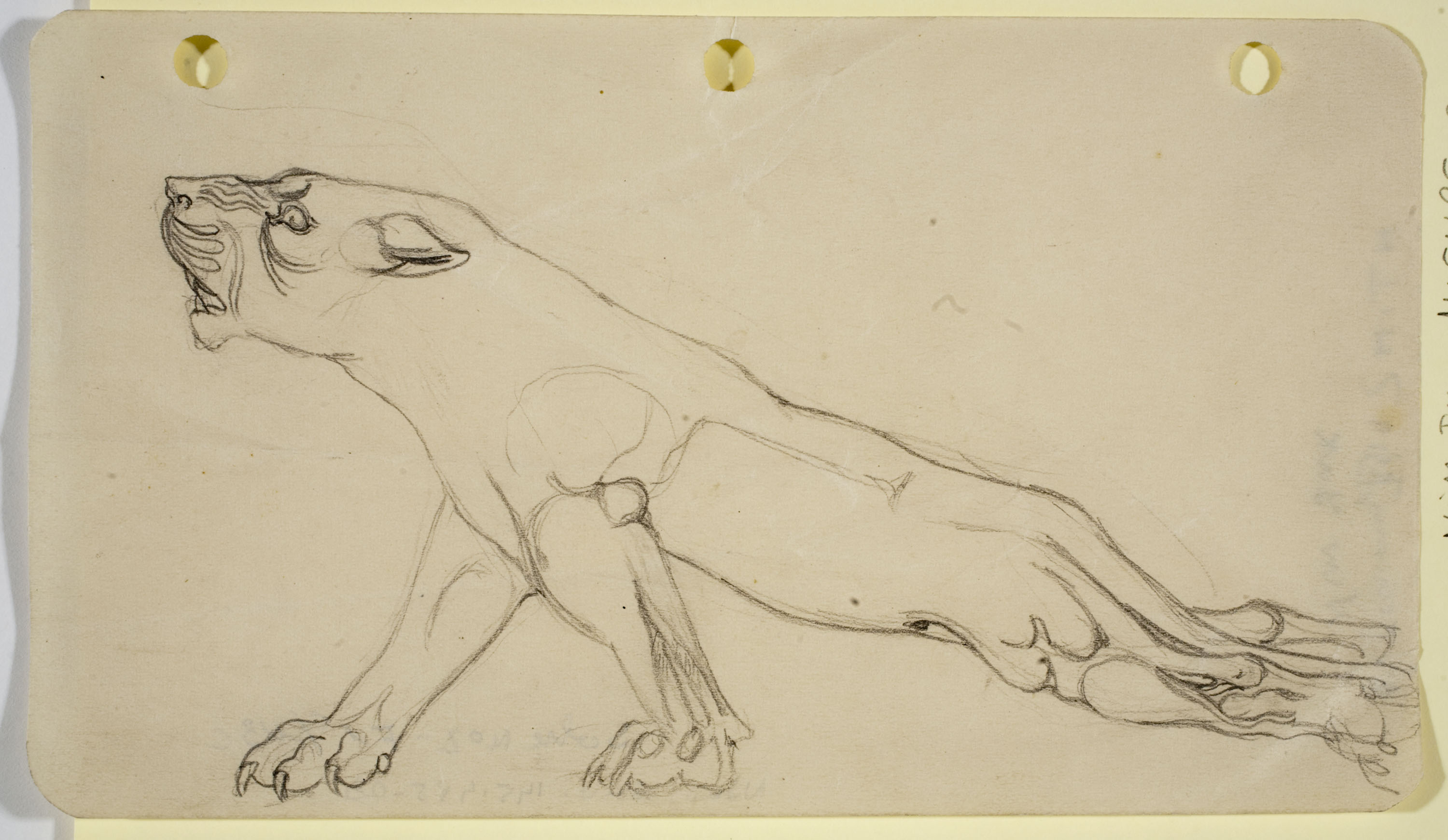 image for: Ismael Smith - Lleona ferida - 1919