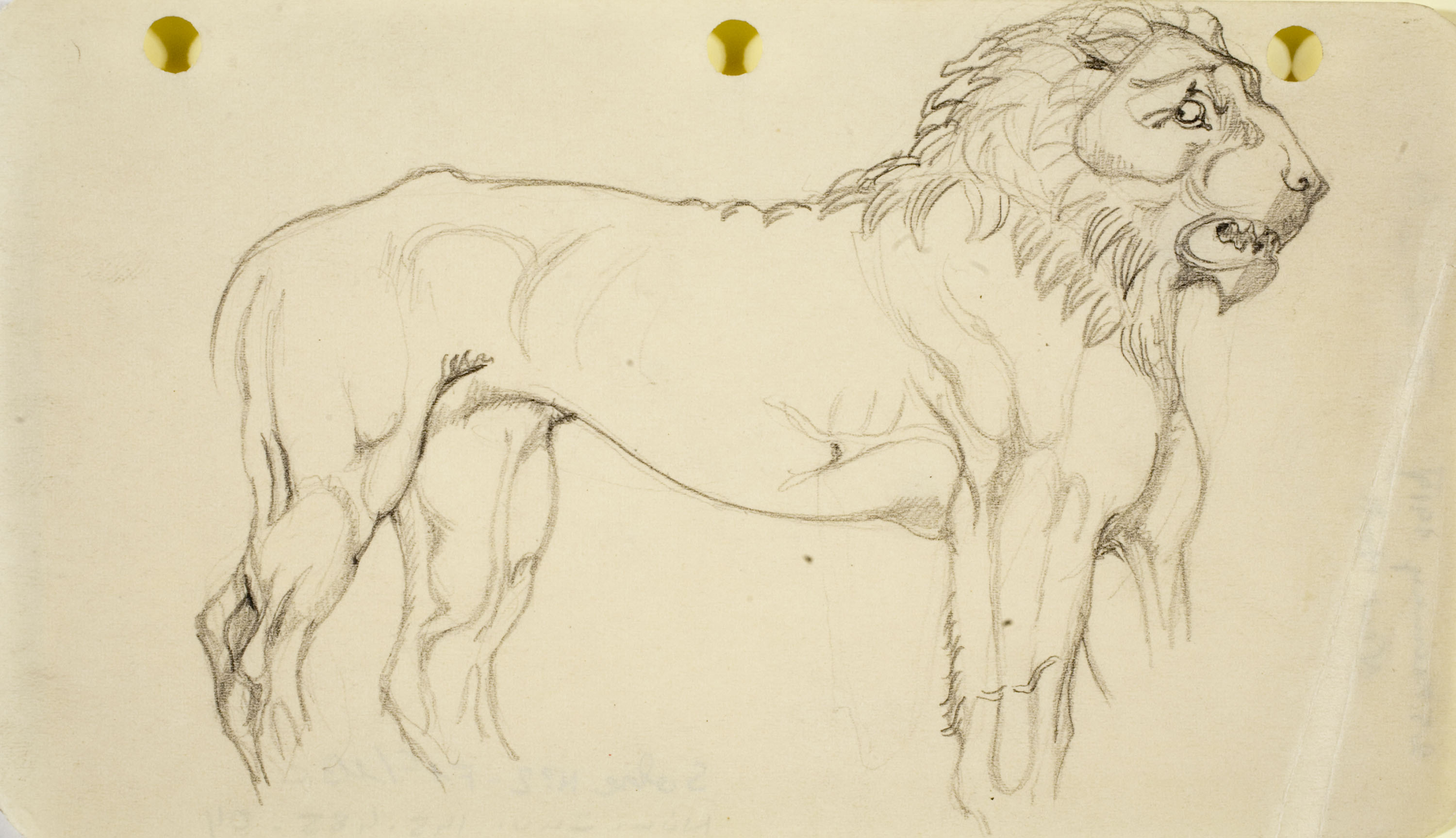 image for: Ismael Smith - Lleona - 1919