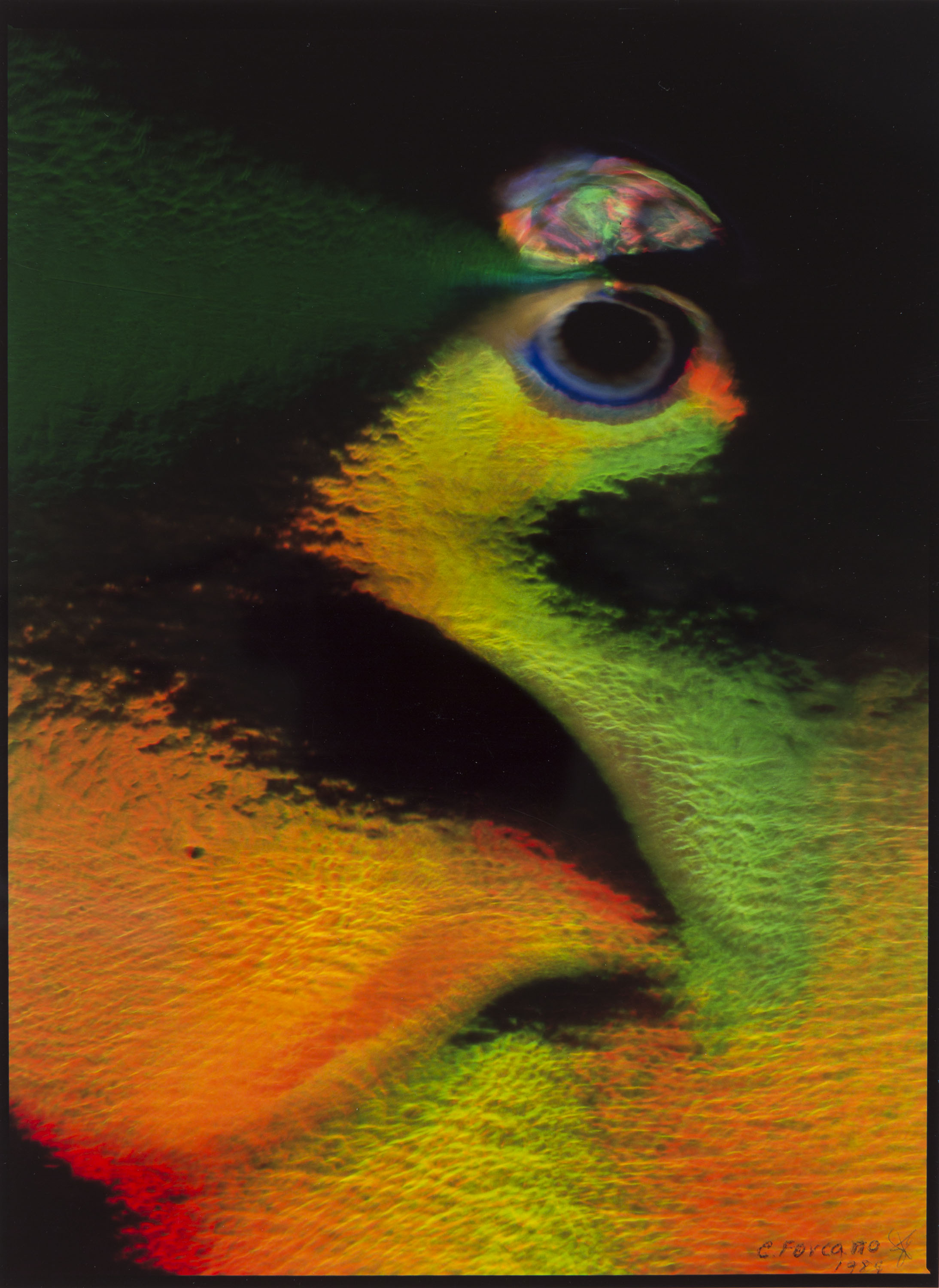 image for: Eugeni Forcano - Composició - 1989