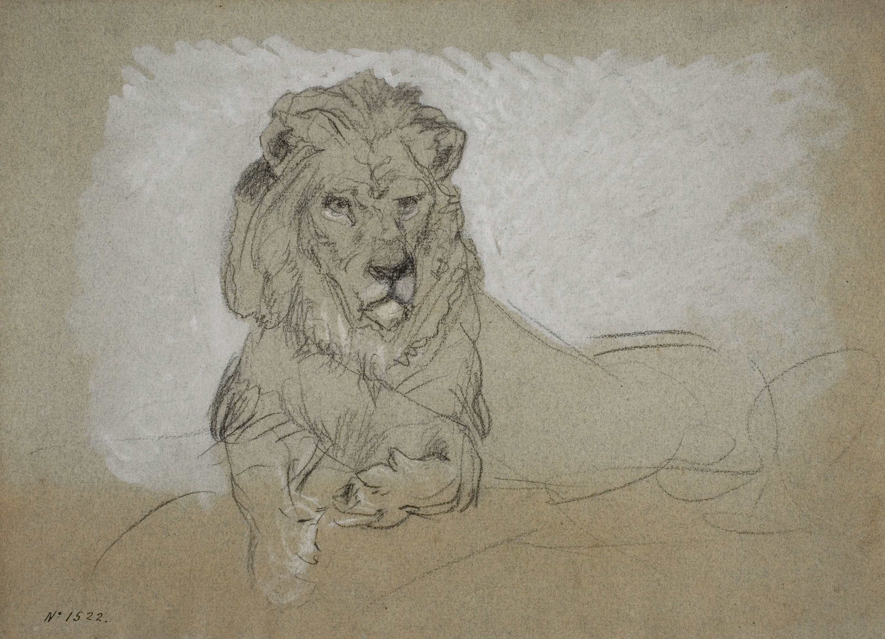 image for: Ramon Martí i Alsina - Lleó ajegut - Cap a 1870-1880