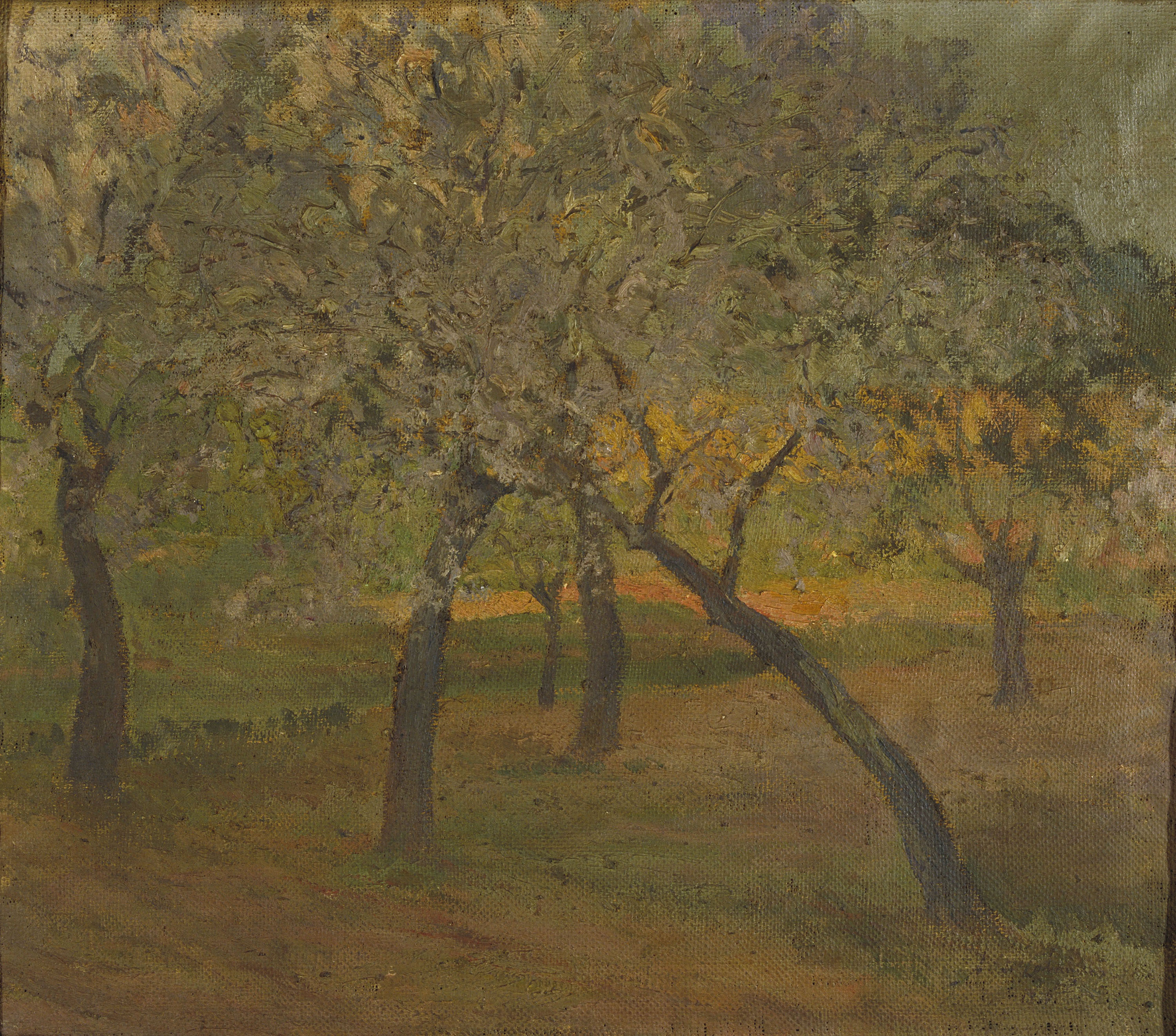 image for: Alexandre de Cabanyes - Conreu amb un grup d'arbres florits - Primera meitat del segle XX