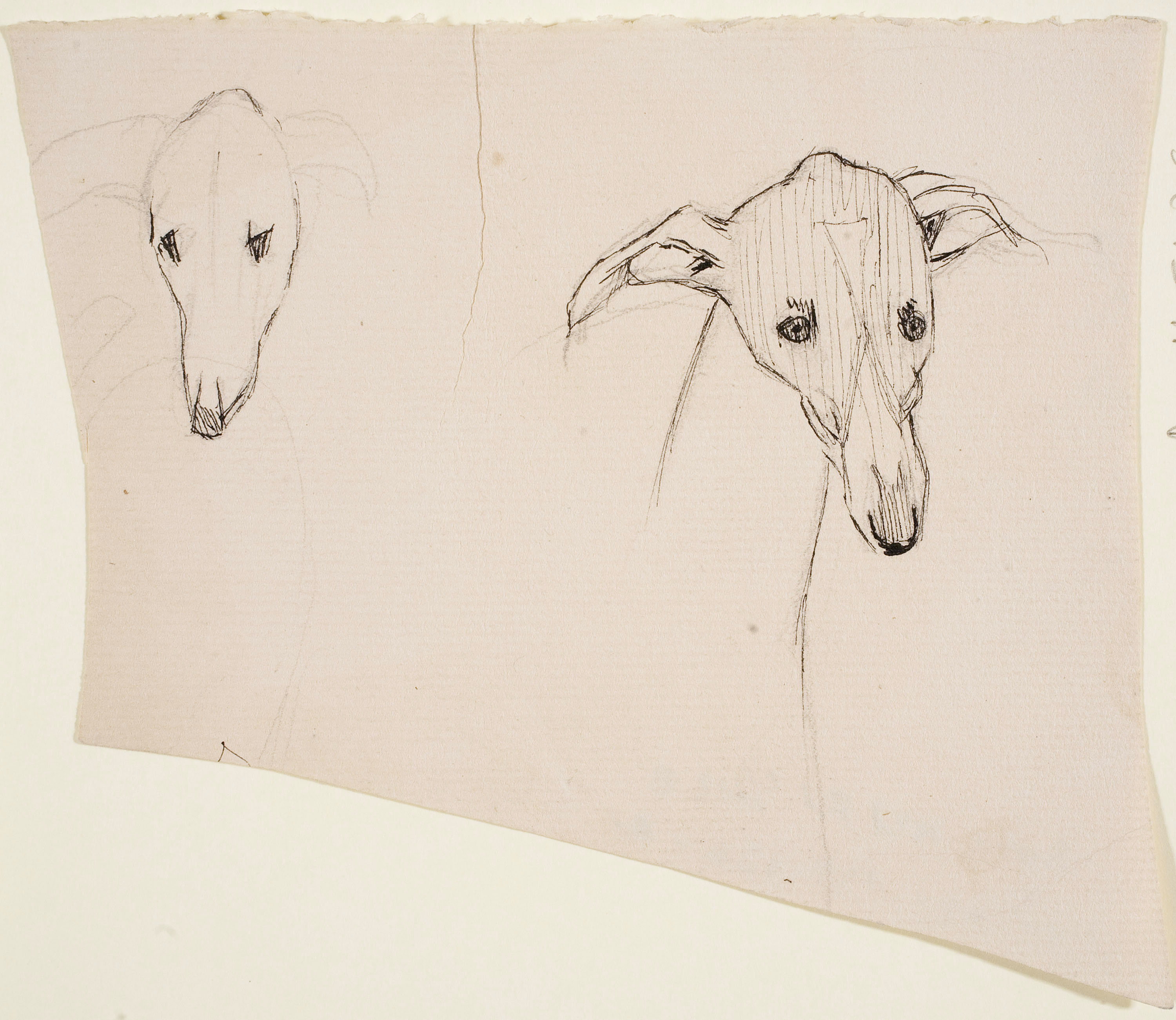 image for: Ismael Smith - Caps de llebrer - Cap a 1906-1910