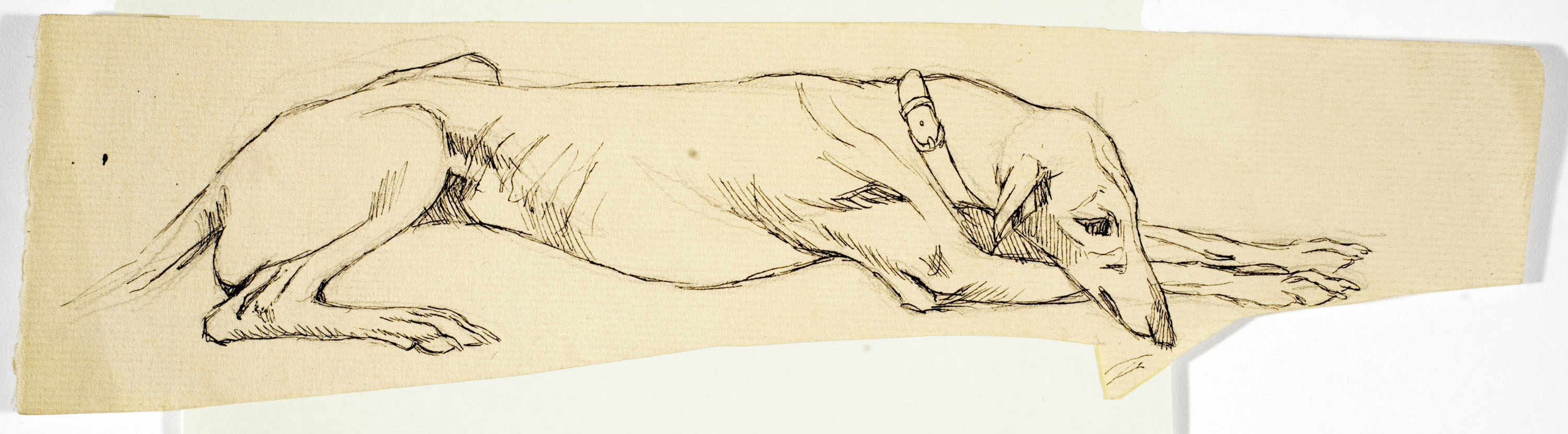 image for: Ismael Smith - Llebrer - Cap a 1906-1910