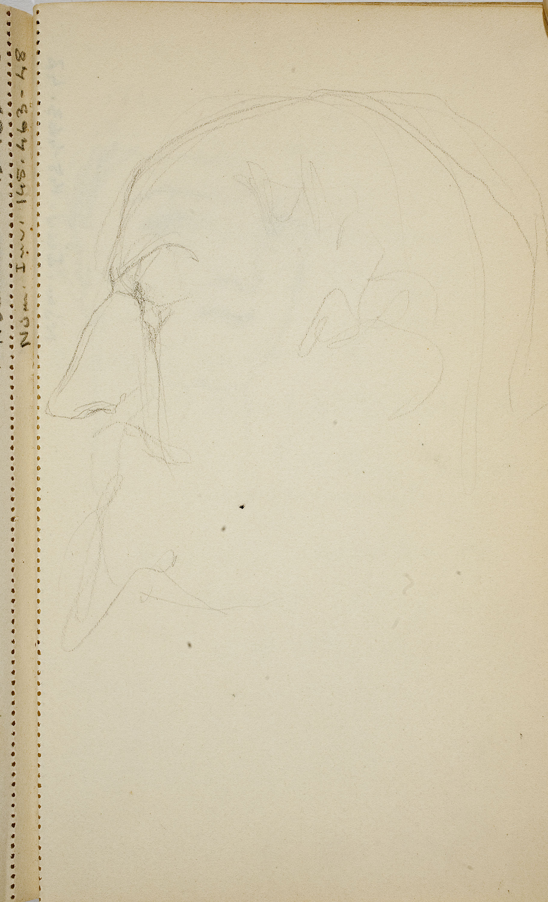 image for: Ismael Smith - Rostre masculí - Cap a 1909-1916