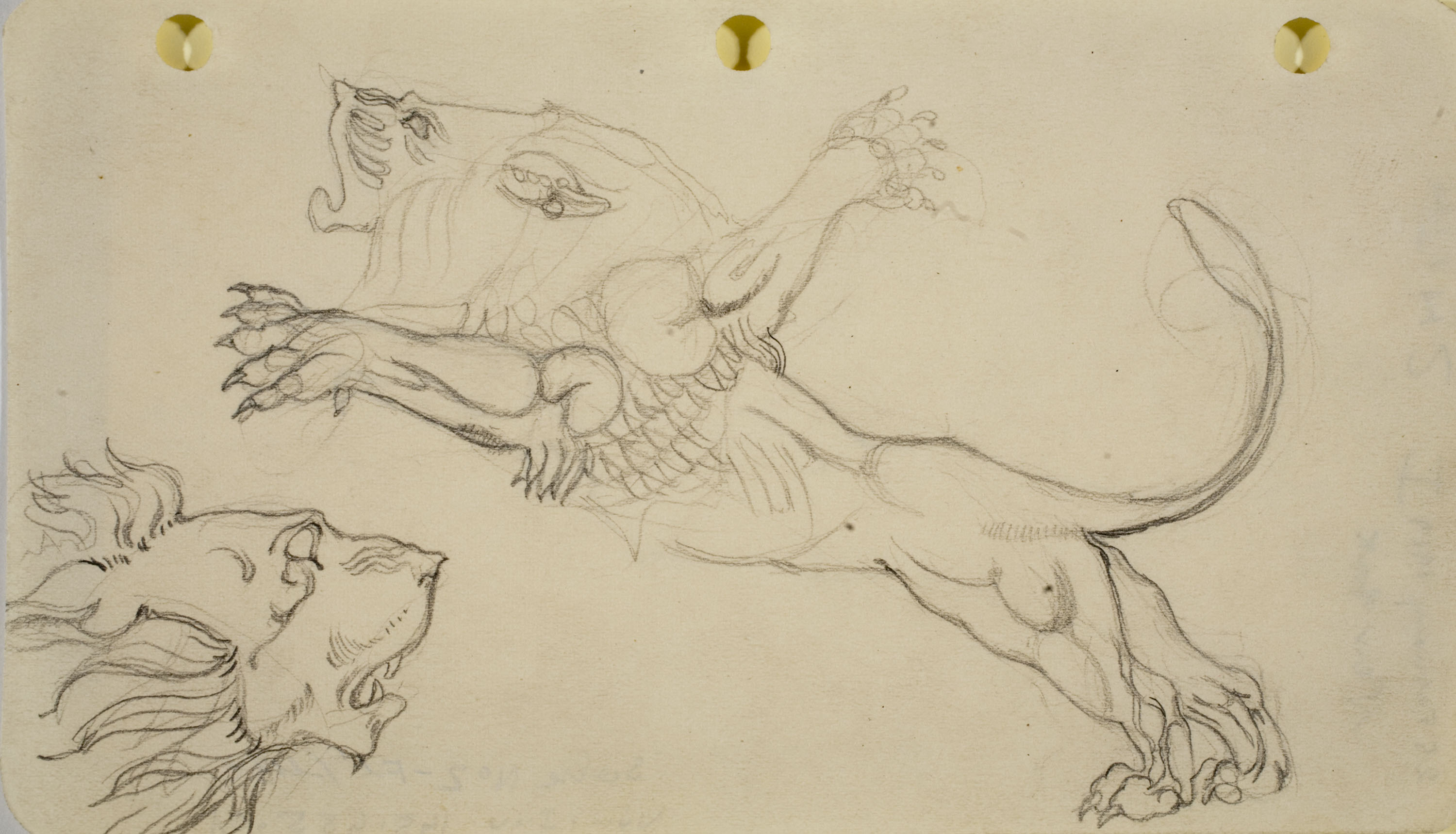 image for: Ismael Smith - Lleons  (anvers) / Lleona (calc de l'anvers) (revers) - 1919