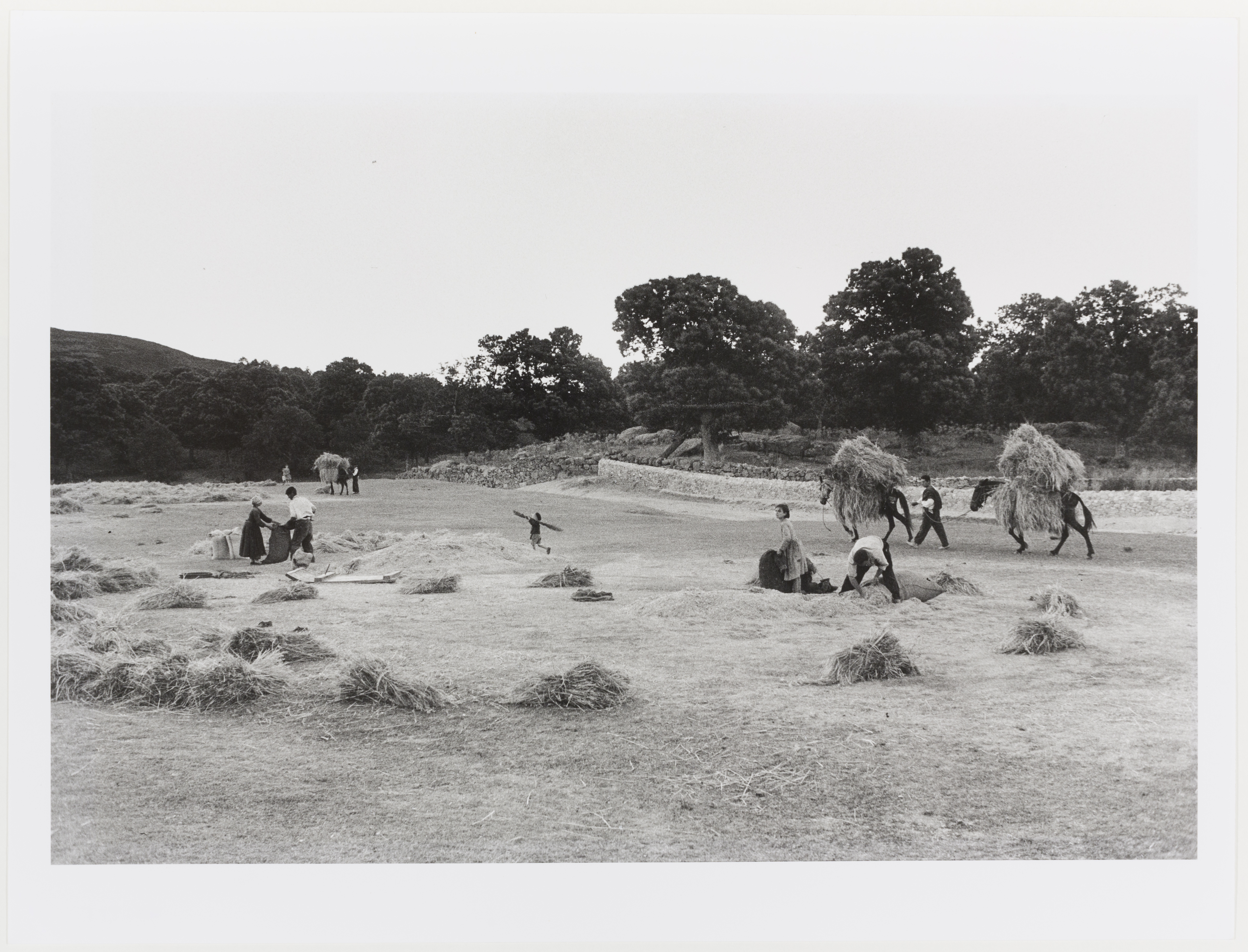 Oriol Maspons - Fotografia per al llibre «Caminando por Las Hurdes», d'Antonio Ferres i Armando López Salinas - 1960 (tiratge posterior) image for: Oriol Maspons - Fotografia per al llibre «Caminando por Las Hurdes», d'Antonio Ferres i Armando López Salinas - 1960 (tiratge posterior)