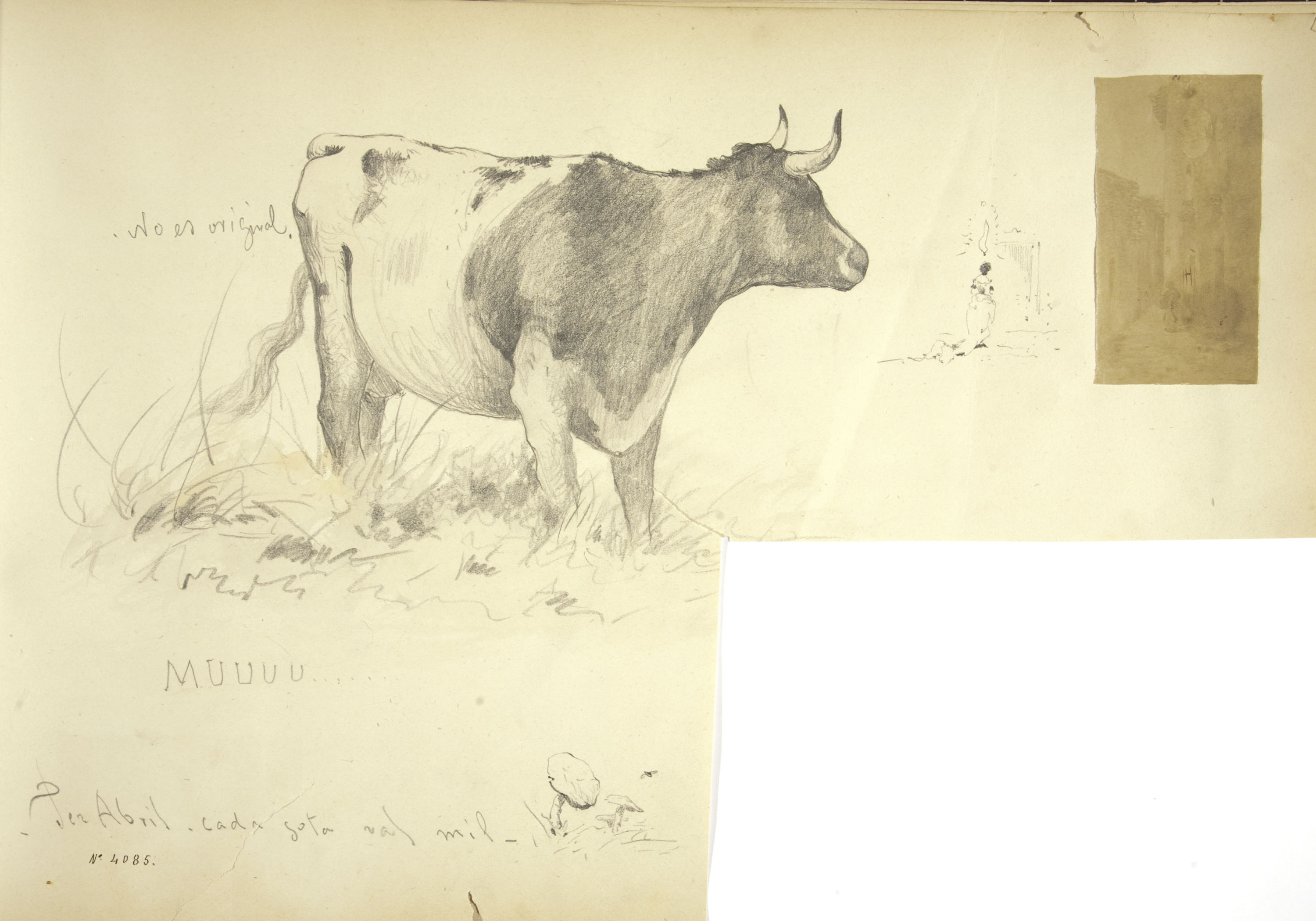 Modest Urgell - Vaca i altres apunts - Cap a 1878 image for: Modest Urgell - Vaca i altres apunts - Cap a 1878