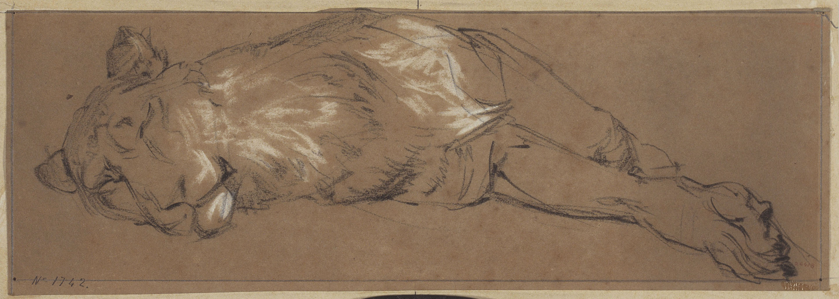 image for: Ramon Martí i Alsina - Lleona dormint - Cap a 1870-1880