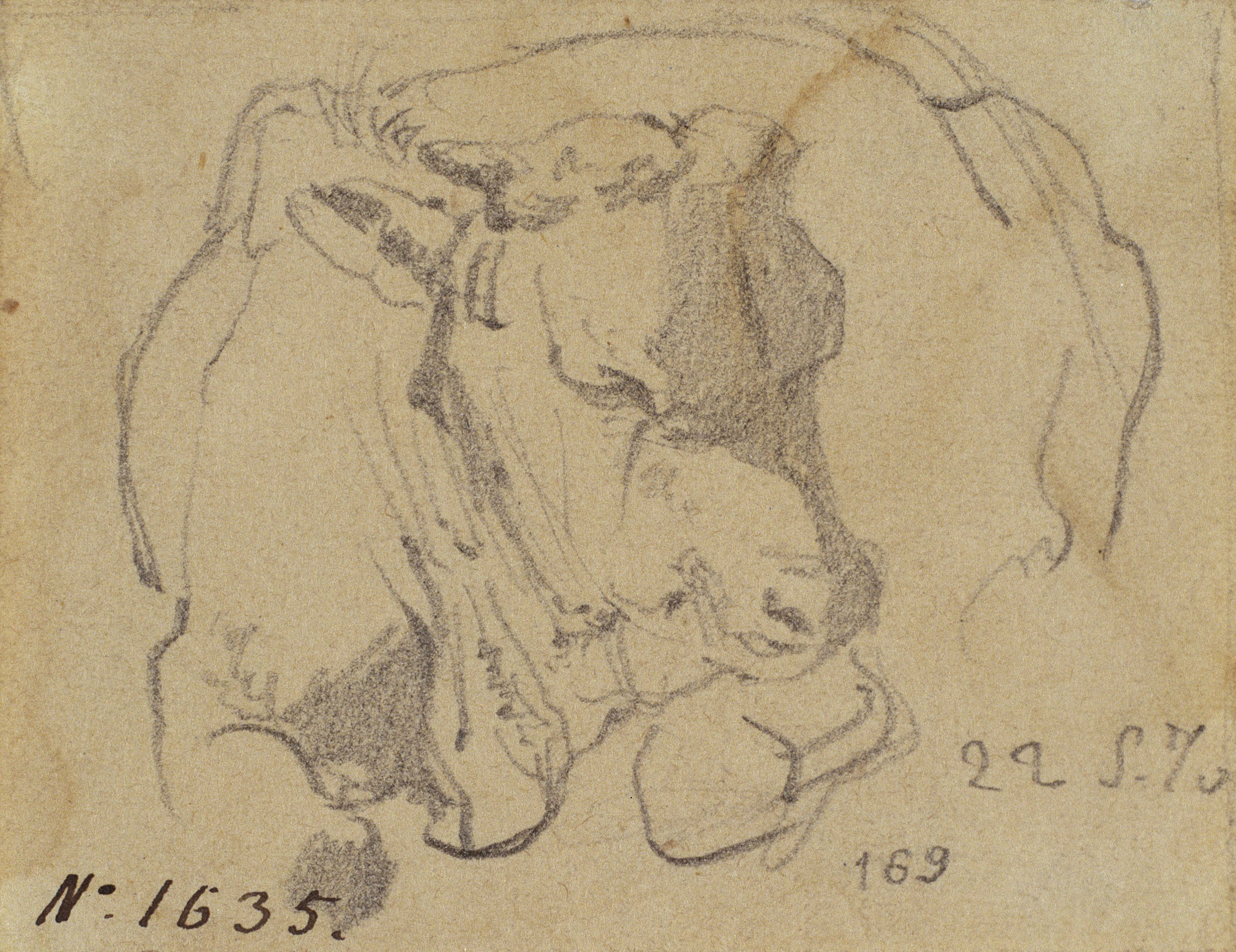 Ramon Martí i Alsina - Un bou ajupit - 22 de maig de 1870 image for: Ramon Martí i Alsina - Un bou ajupit - 22 de maig de 1870