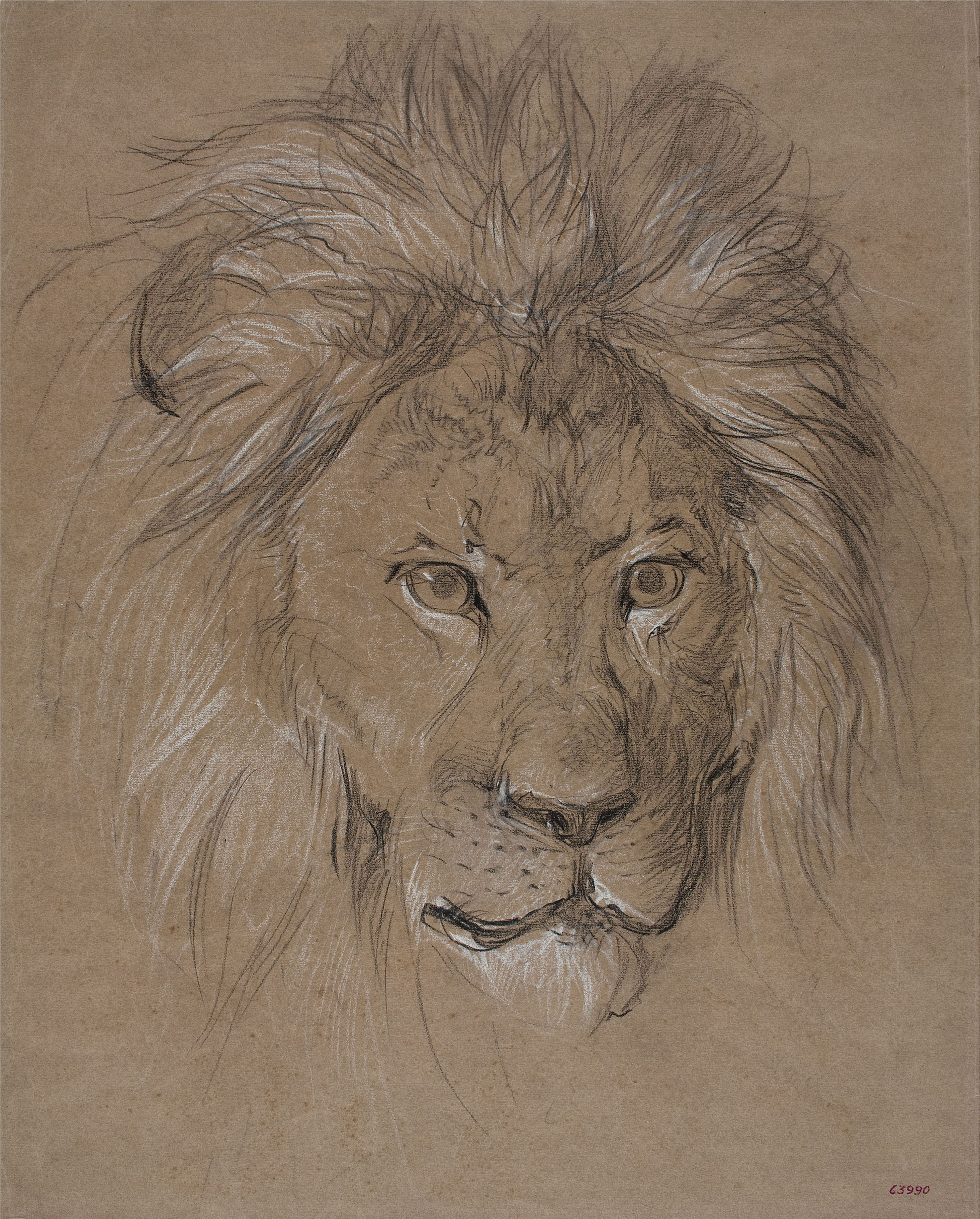 image for: Ramon Martí i Alsina - Cap de lleó de front - Cap a 1870-1880