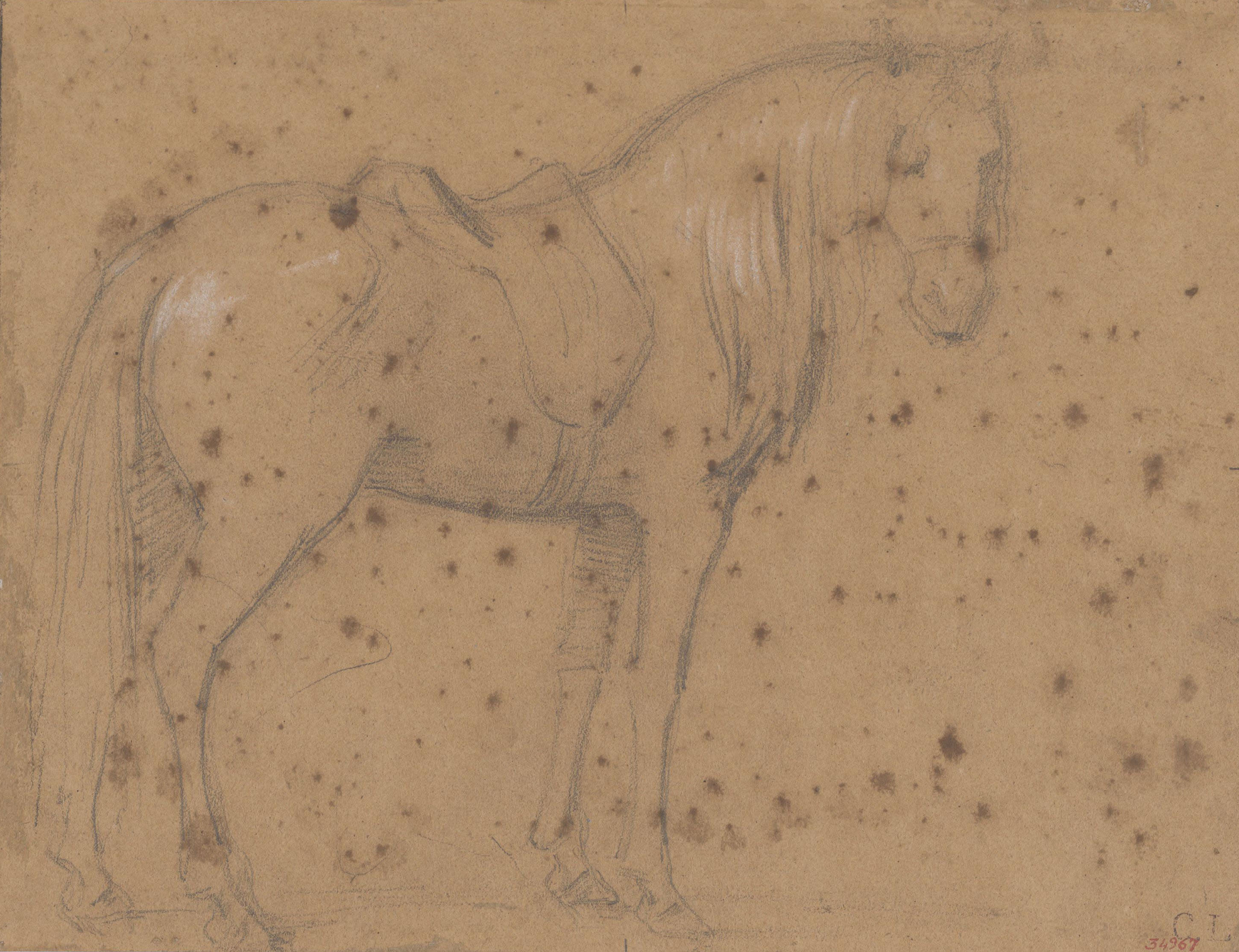 Claudi Lorenzale - Estudi de cavall per al quadre «Els ambaixadors de la Diputació a Vilafranca prohibeixen a la Reina Joana que acompanyi el Príncep de Viana a Barcelona» - Cap a 1870 image for: Claudi Lorenzale - Estudi de cavall per al quadre «Els ambaixadors de la Diputació a Vilafranca prohibeixen a la Reina Joana que acompanyi el Príncep de Viana a Barcelona» - Cap a 1870