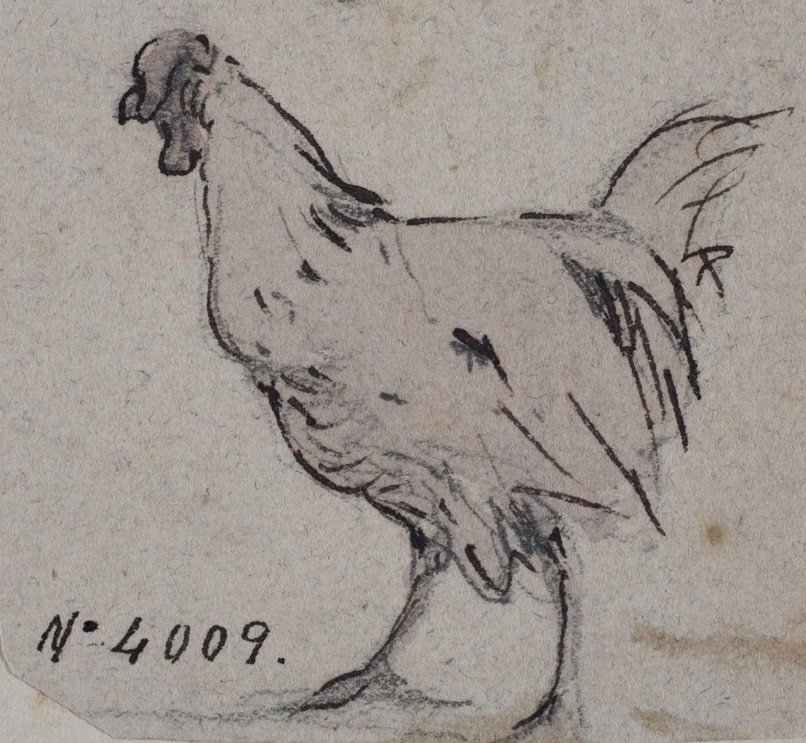 image for: Modest Urgell - Gallina - Cap a 1864