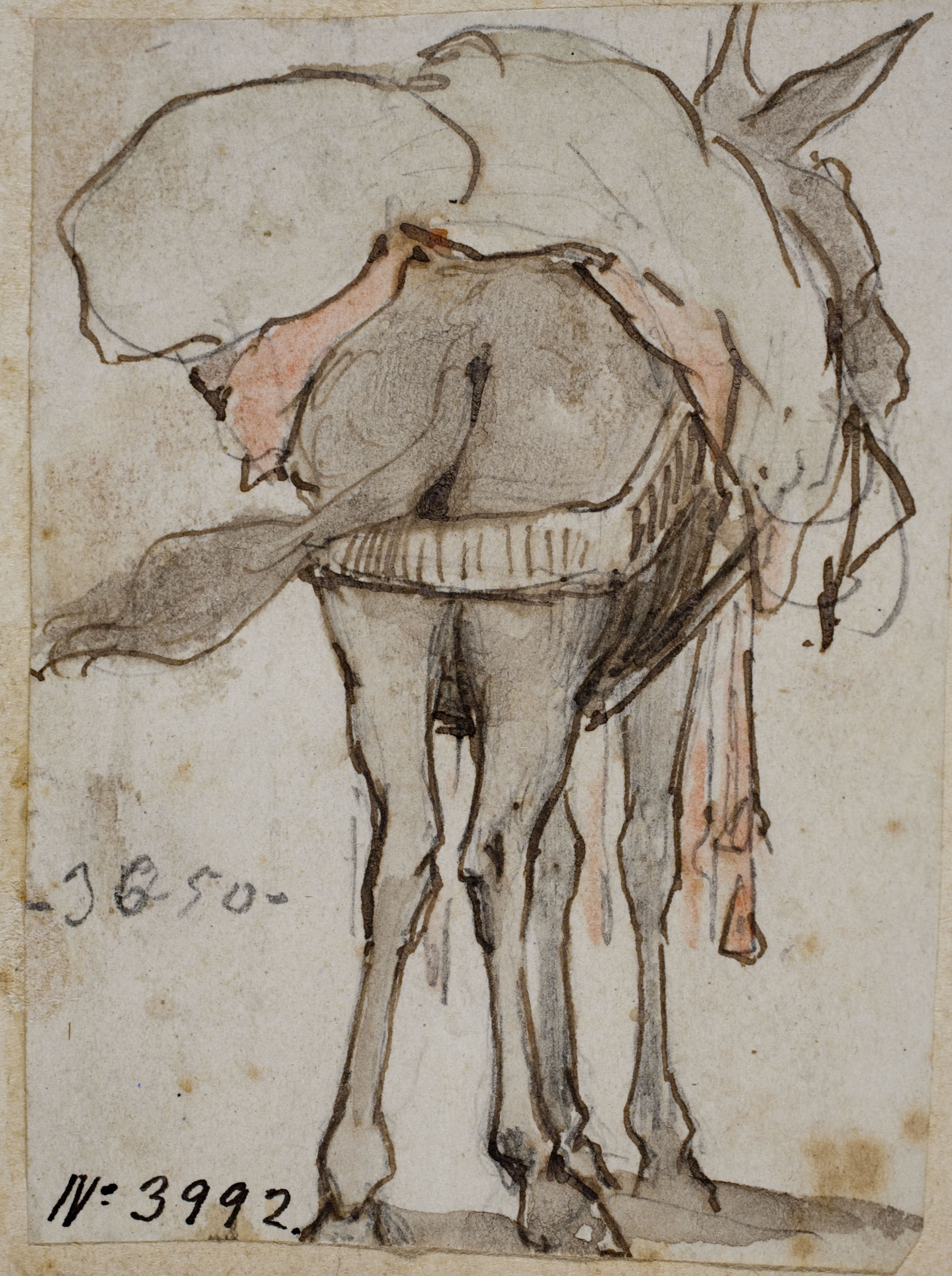 Modest Urgell - Ruc de càrrega - Cap a 1864 image for: Modest Urgell - Ruc de càrrega - Cap a 1864