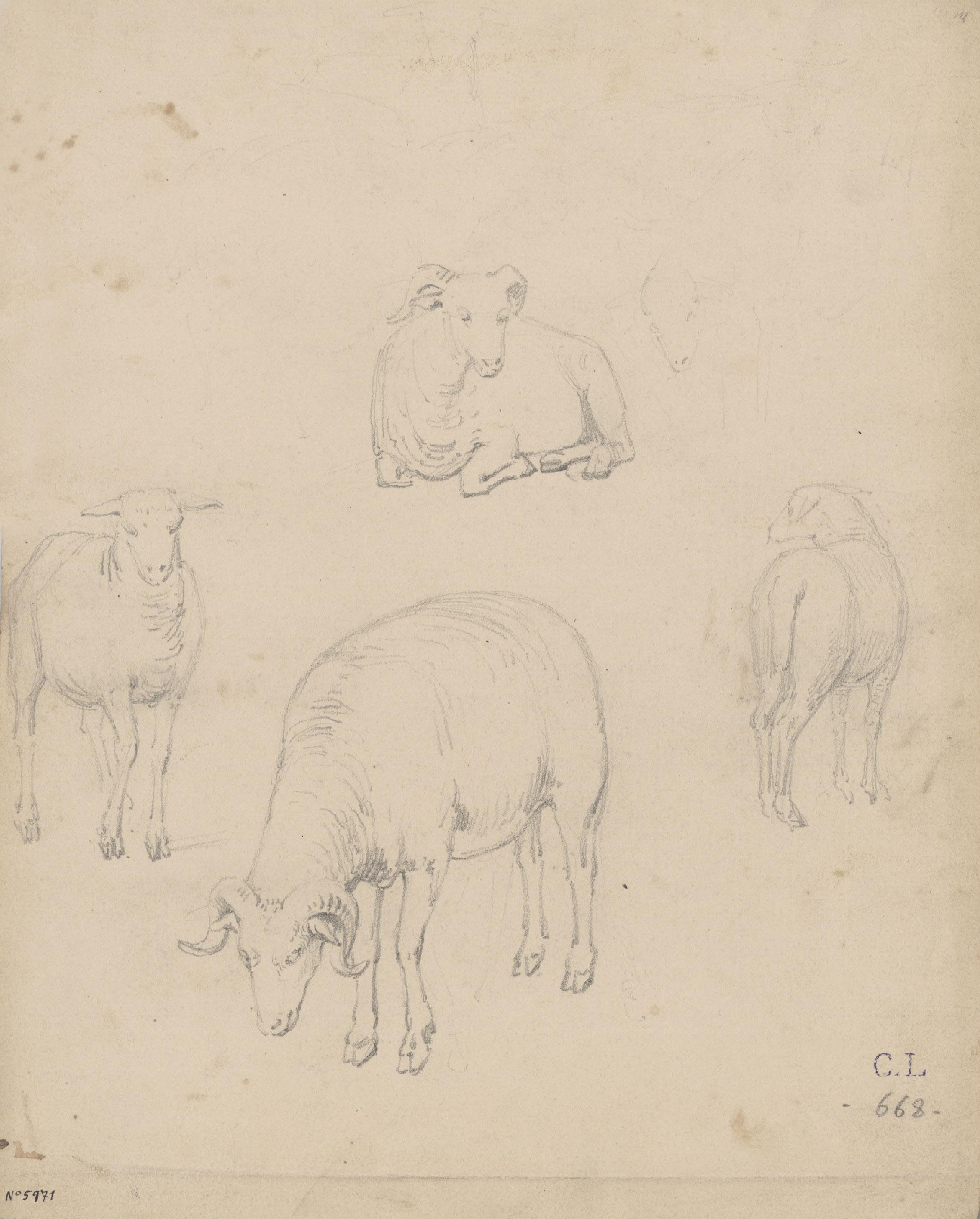 image for: Claudi Lorenzale - Estudi d'ovelles - Cap a 1850-1870