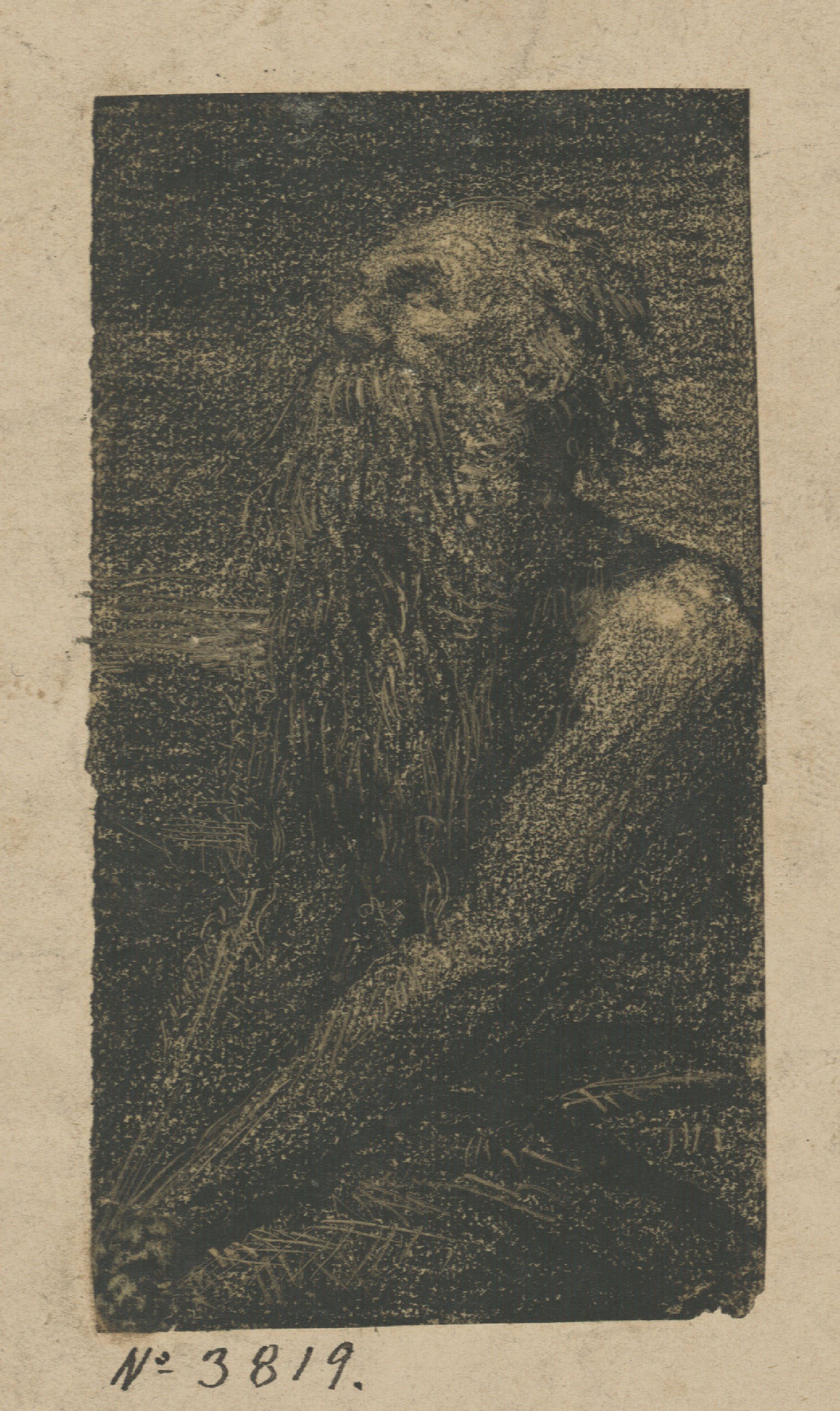 image for: Francesc Torras - Sant Jeroni - Segona meitat del segle XIX